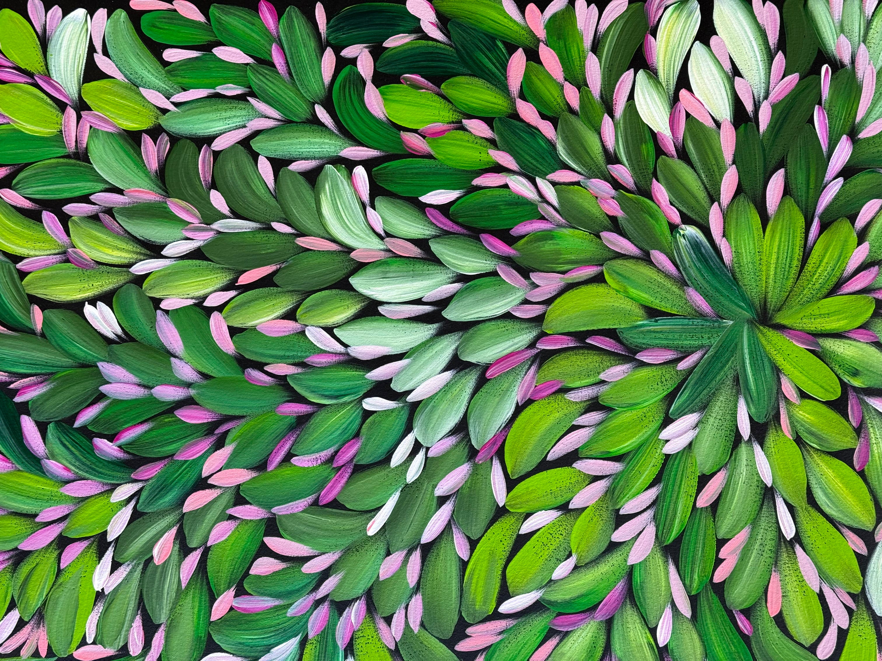 Louise Numina Napananka - Bush Medicine Leaves .23-15