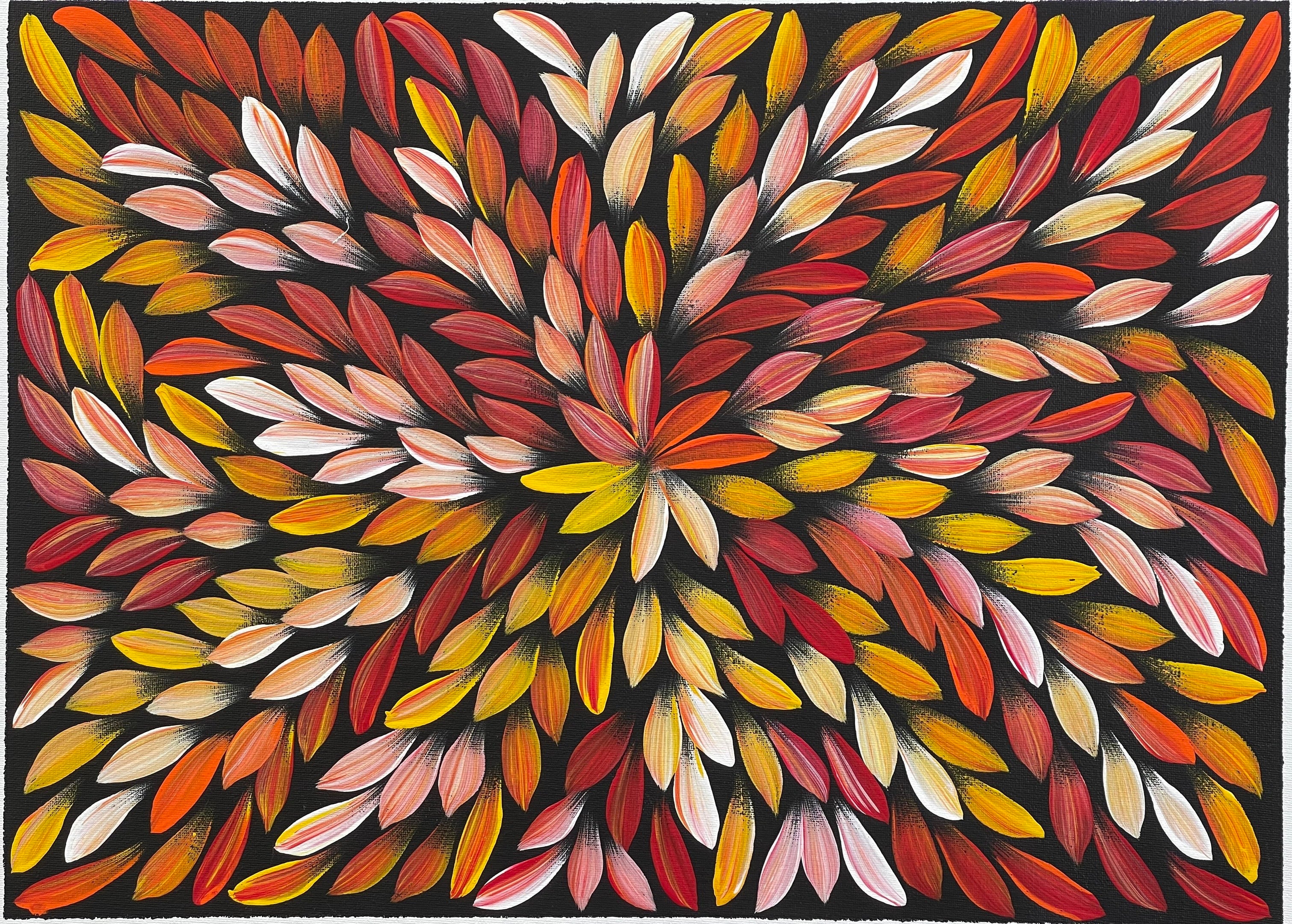 Jacinta Numina - Bush Medicine Leaves - 38x53cm .39-7