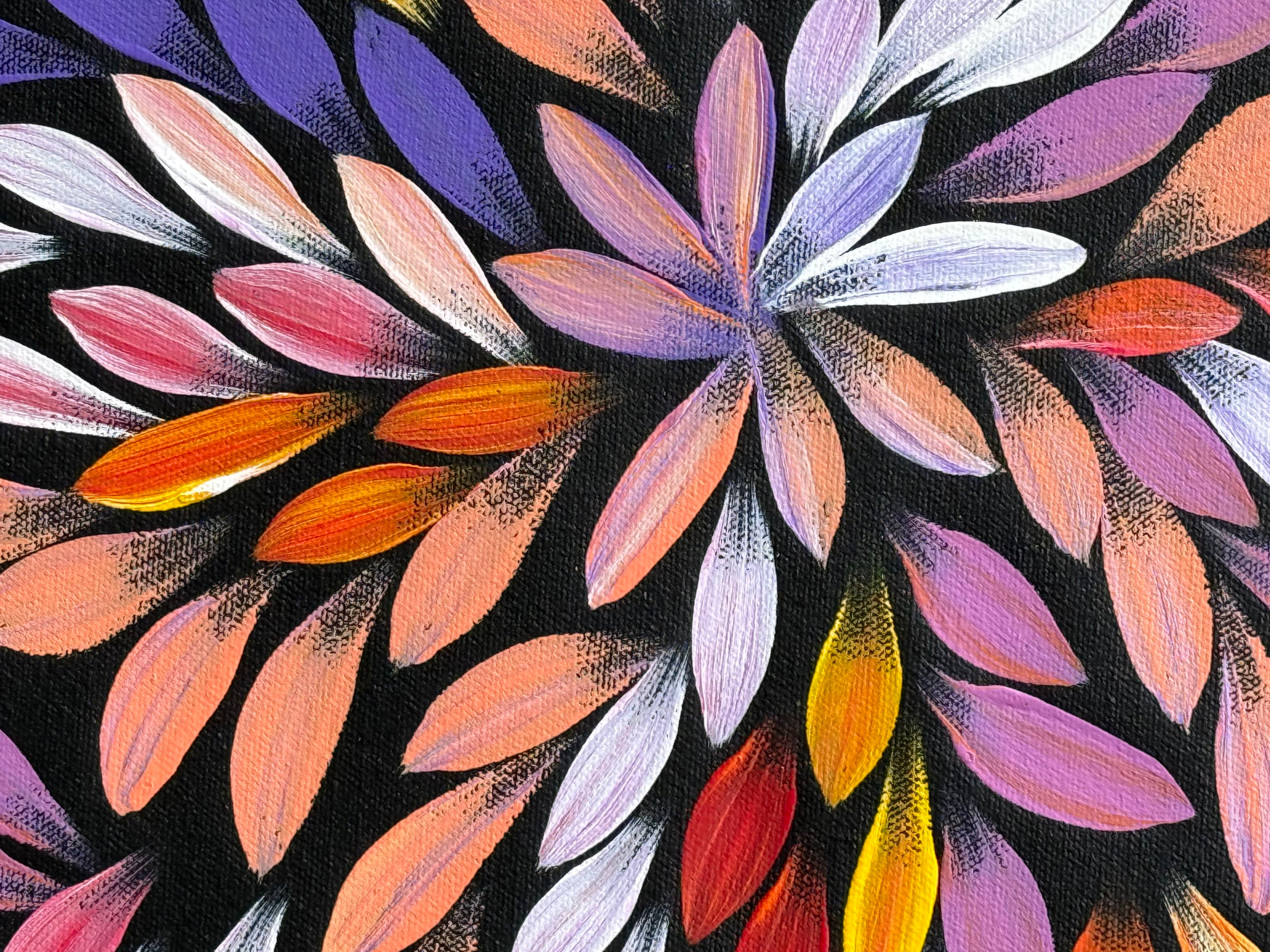 Jacinta Numina Waugh - Bush Medicine Leaves - 53x38cm .12-7