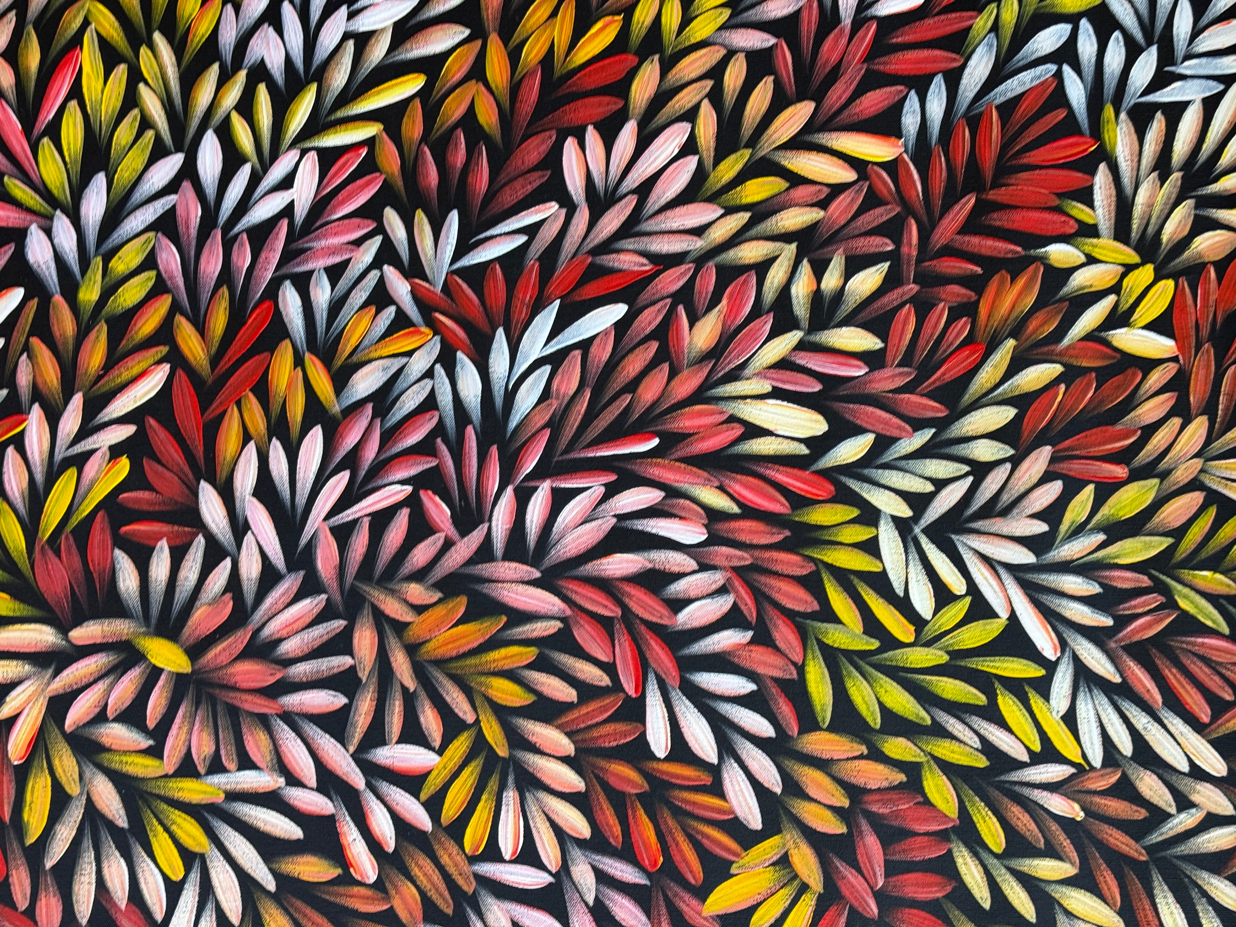Sharon Numina - Bush Medicine Leaves .95-4