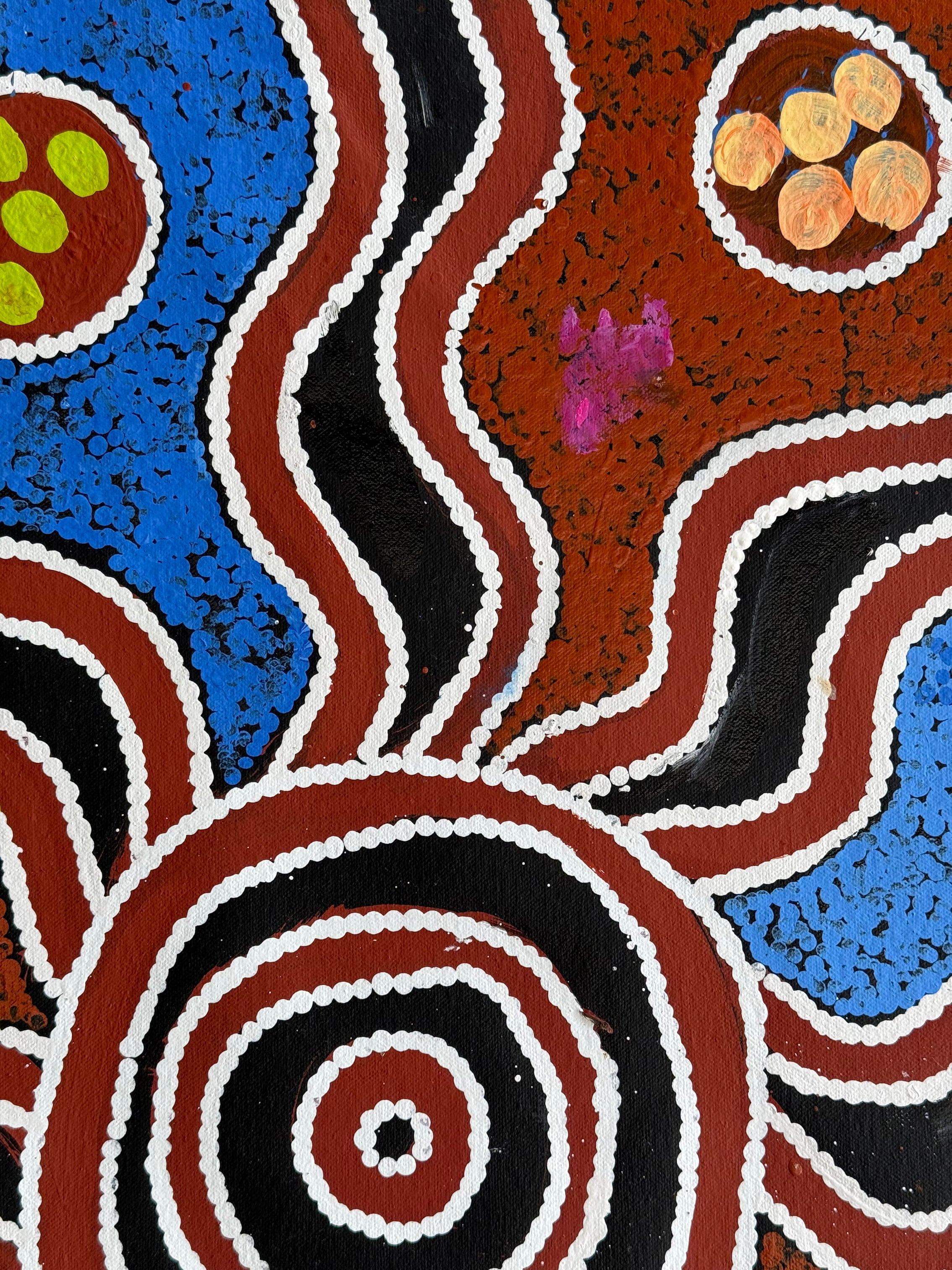 Barbara Pananka - Bush Tucker .15-2