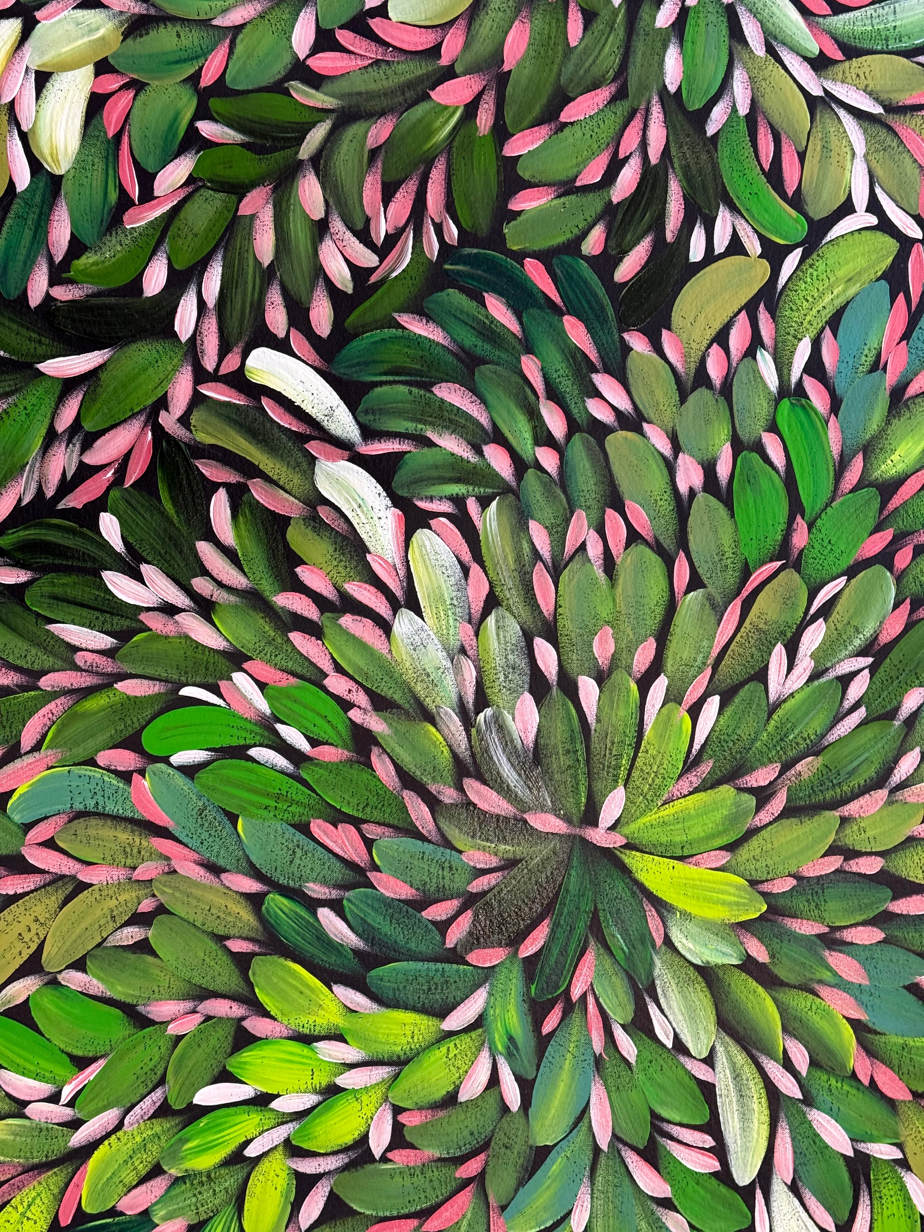 Louise Numina Napananka - Bush Medicine Leaves .22-31