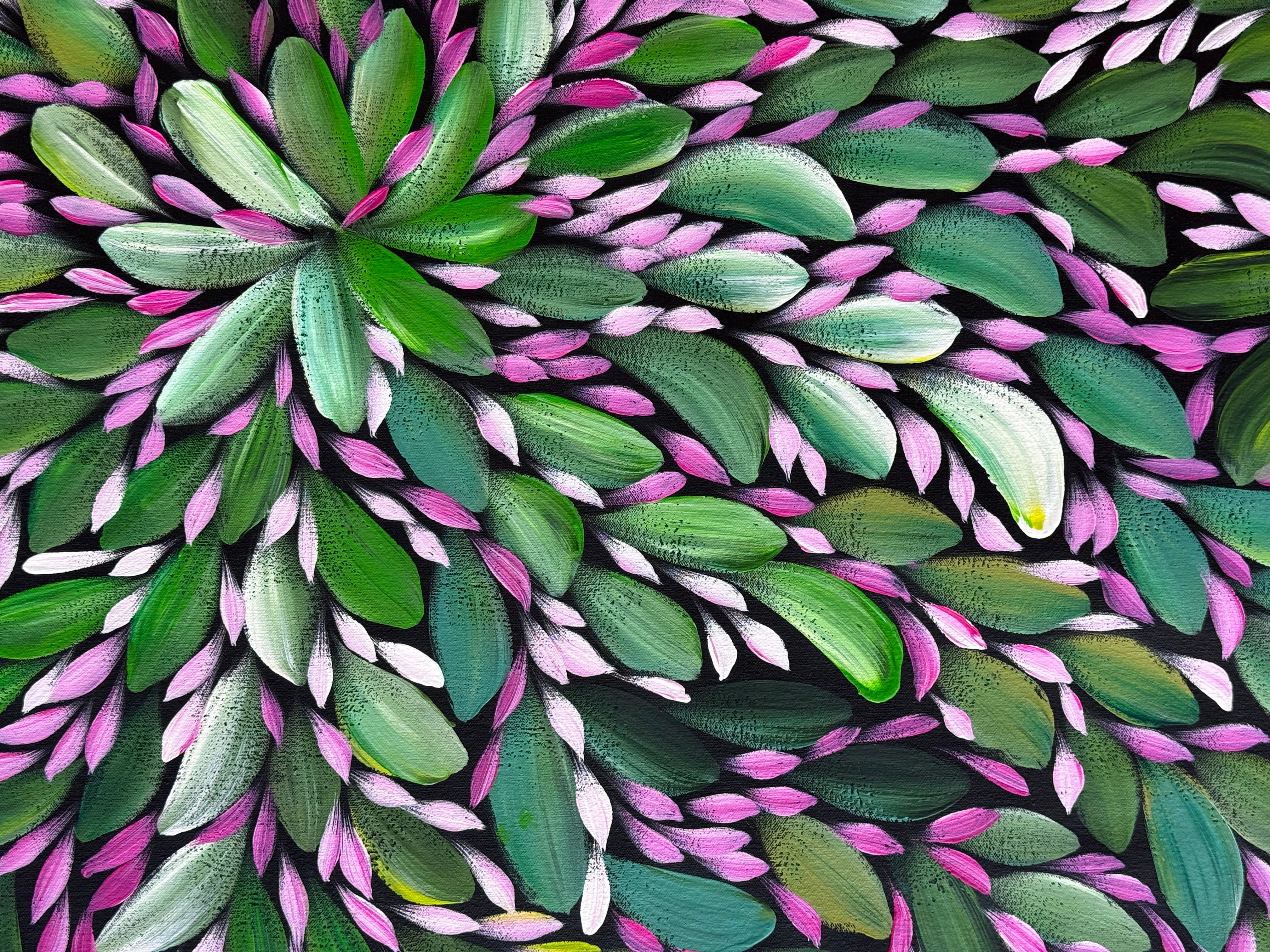 Louise Numina Napananka - Bush Medicine Leaves .43-14