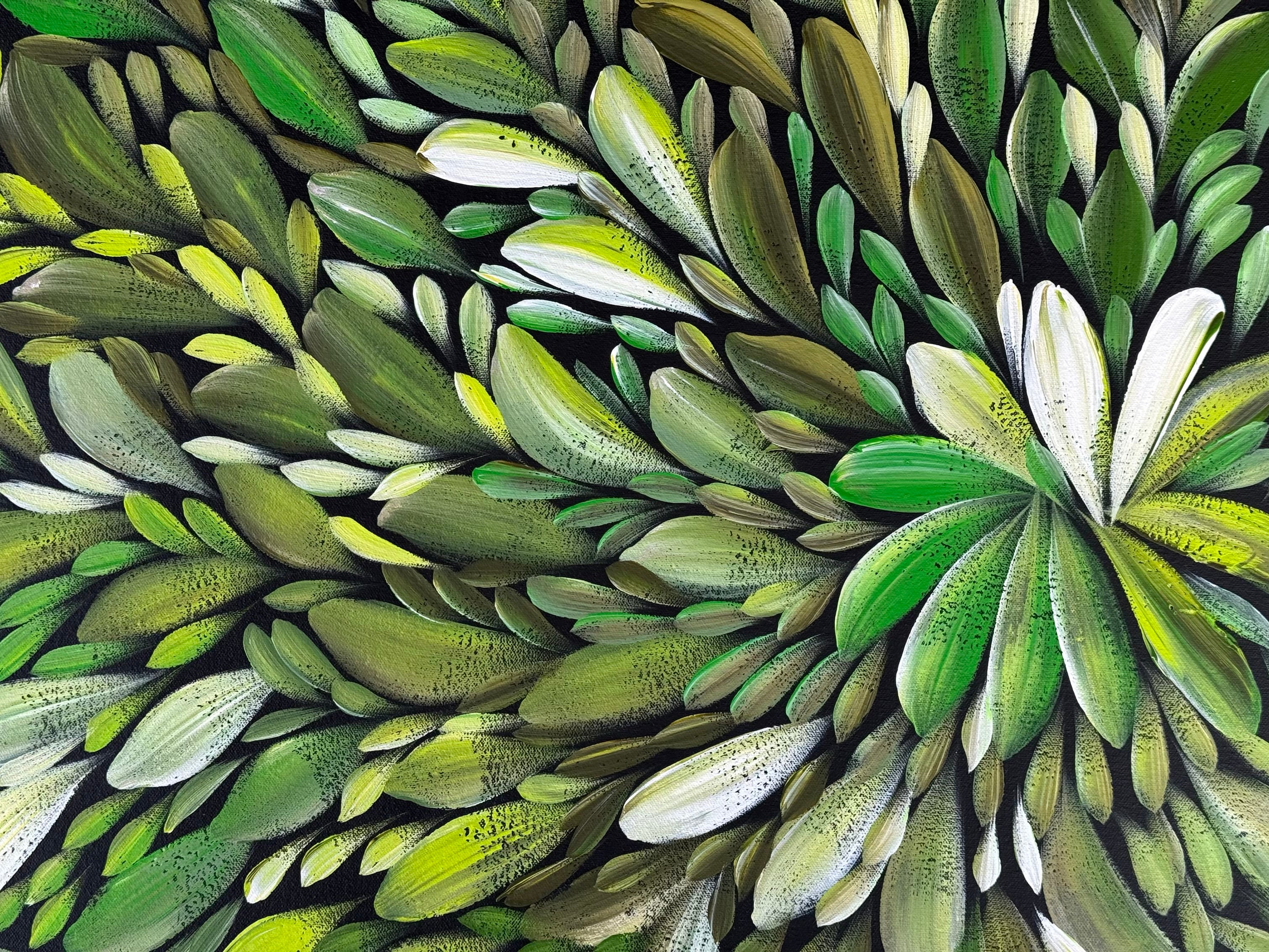 Louise Numina Napananka - Bush Medicine Leaves .65-1