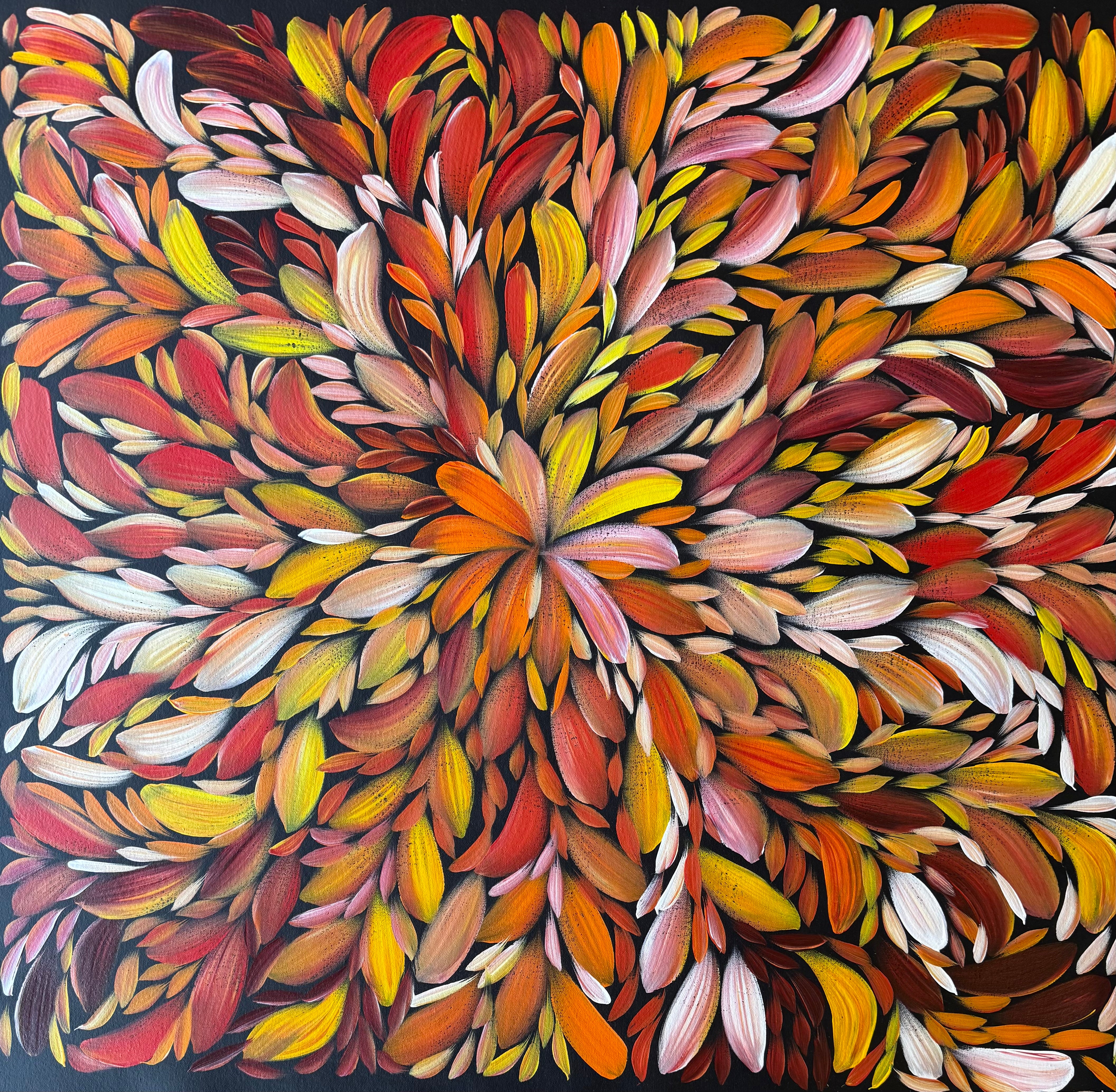 Louise Numina Napananka - Bush Medicine Leaves .23-20