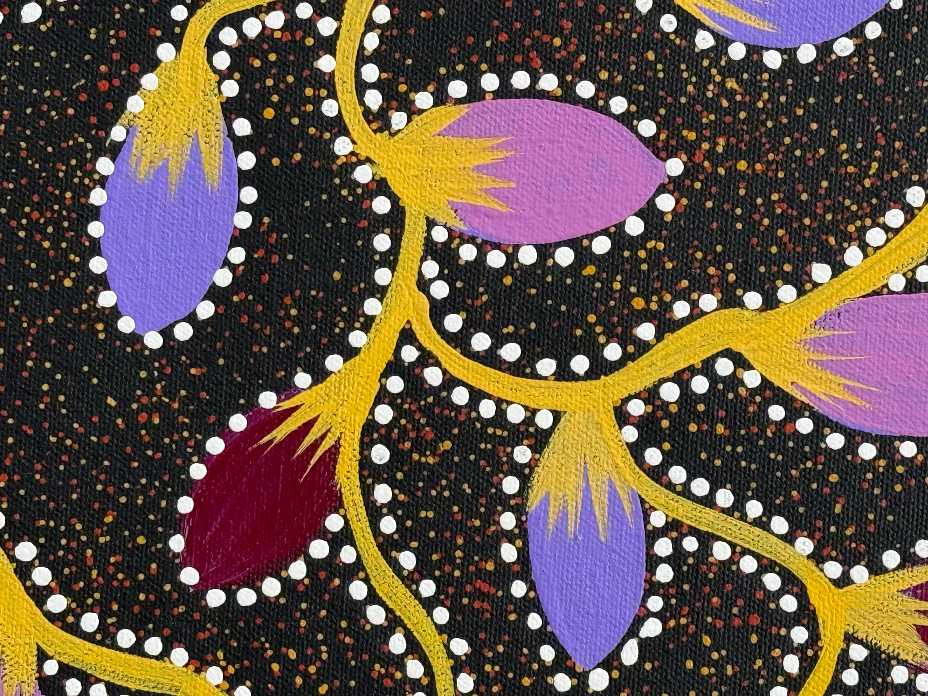 Jacinta Numina Waugh - Bush Plums .12-14