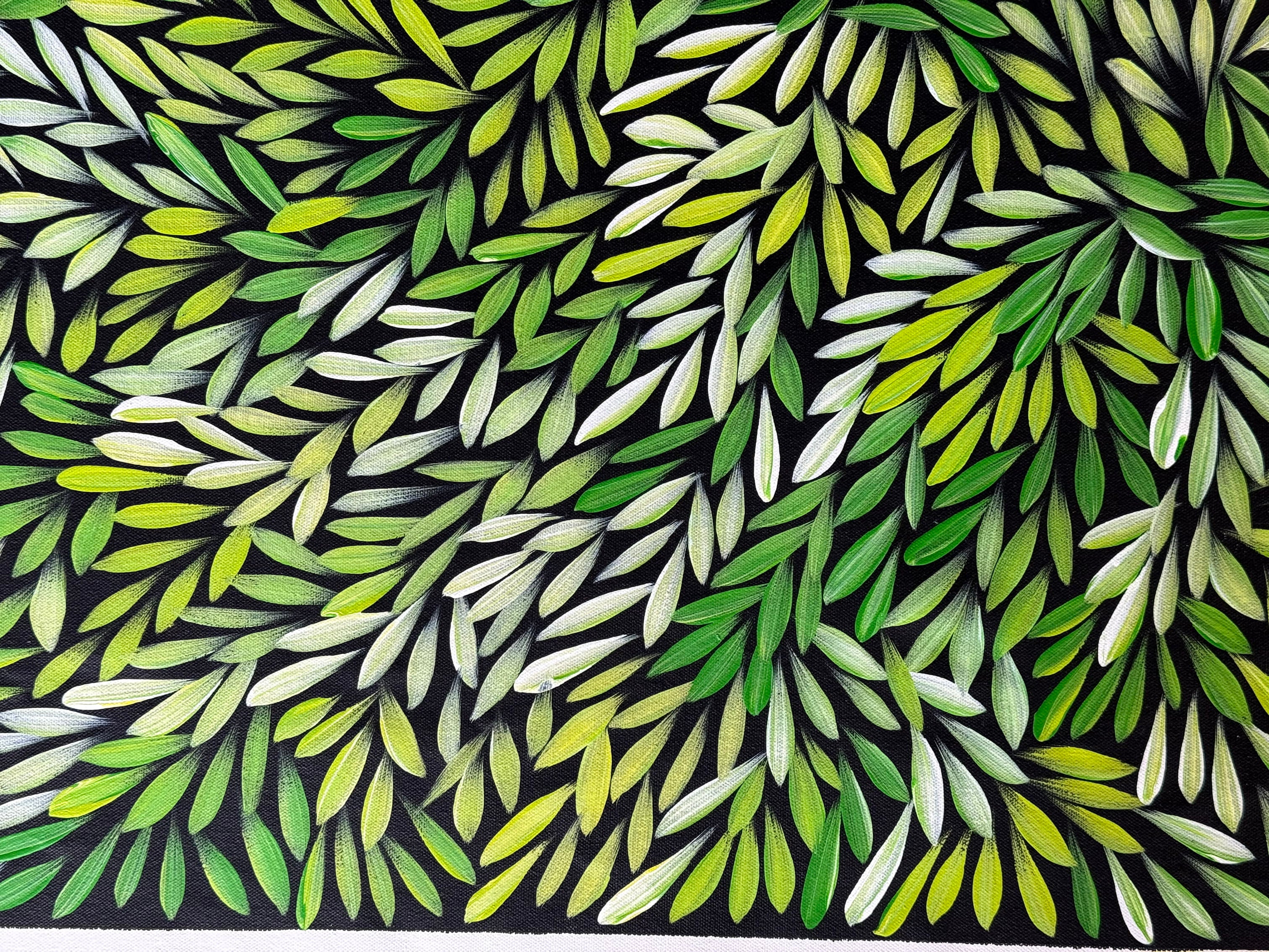 Sharon Numina - Bush Medicine Leaves - 69x90cm .14-37