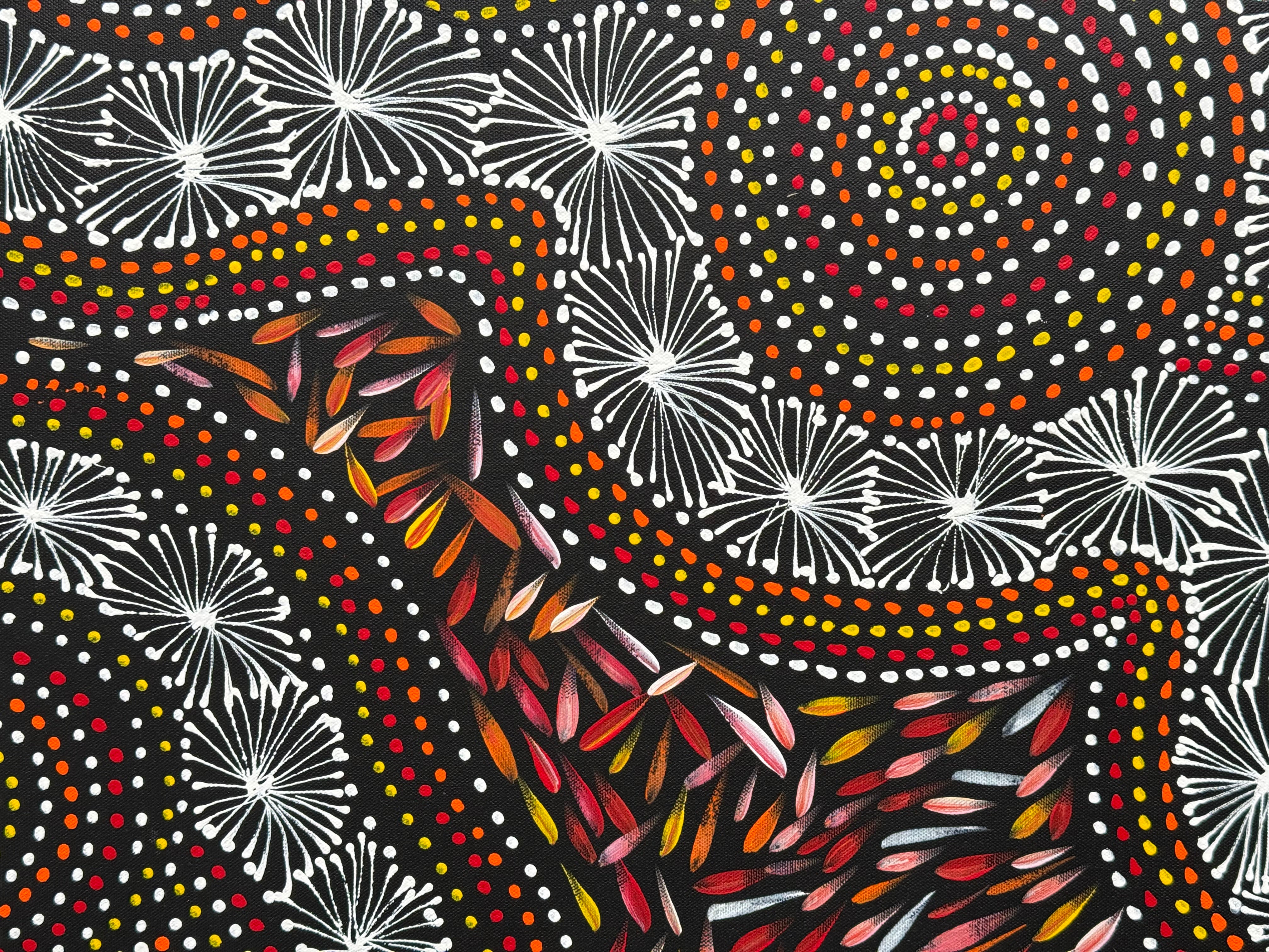 Selina Numina Kamprina - Seeds and Waterholes .92-5