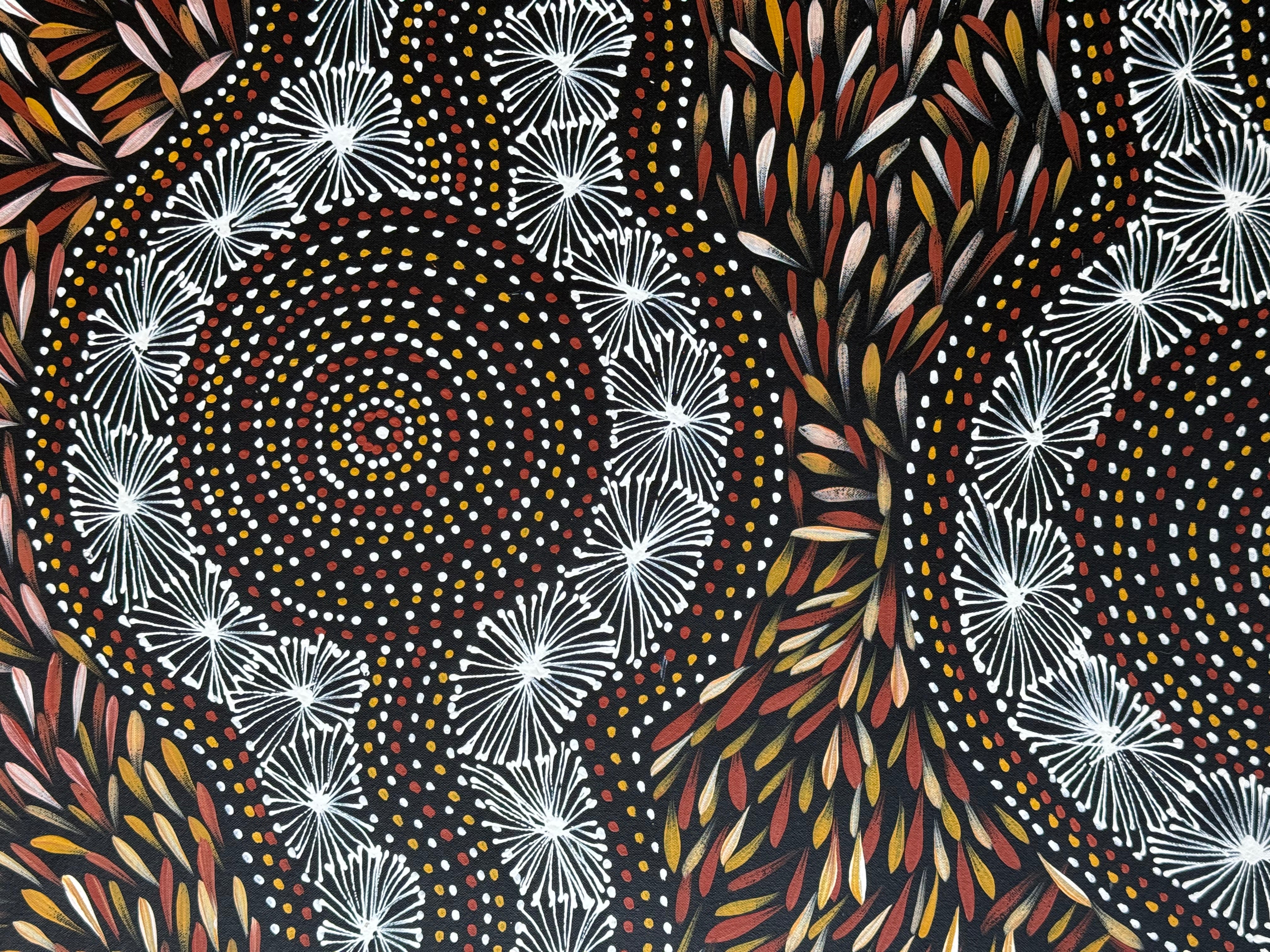 Selina Numina Kamprina - Seeds and Waterholes .92-11