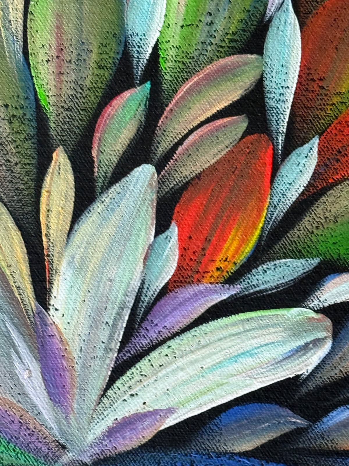 Louise Numina Napananka - Bush Medicine Leaves .36-27