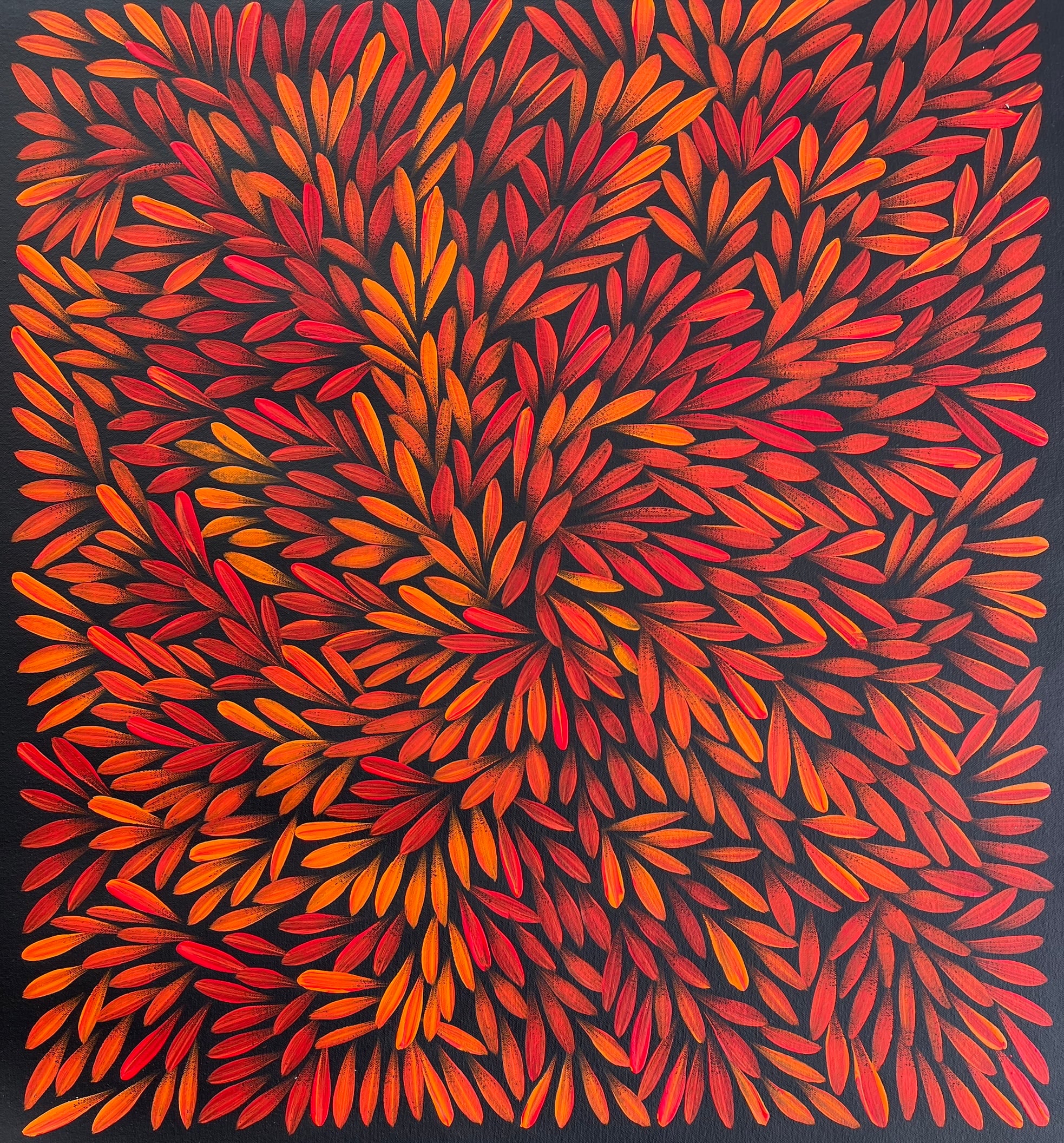 Sharon Numina - Bush Medicine Leaves - 55x61cm .28-13