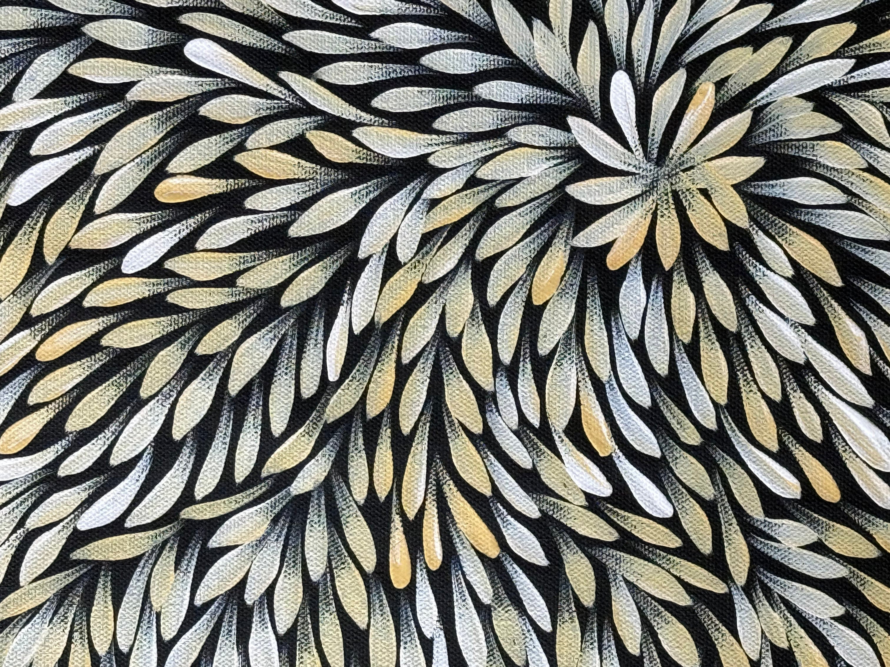 Sharon Turner - Bush Medicine Leaves - 53x38cm .09-8