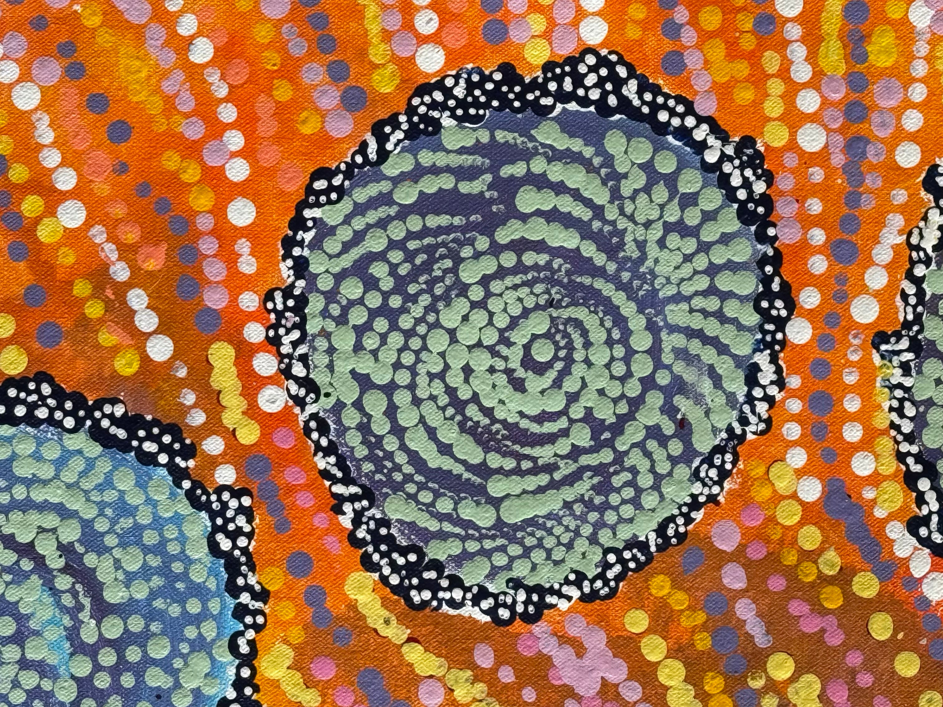 Maria Nampijinpa Brown - Seven Sisters Dreaming .48-2