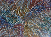 Caroline Numina - Seeded Bush Medicine Leaves .13-14