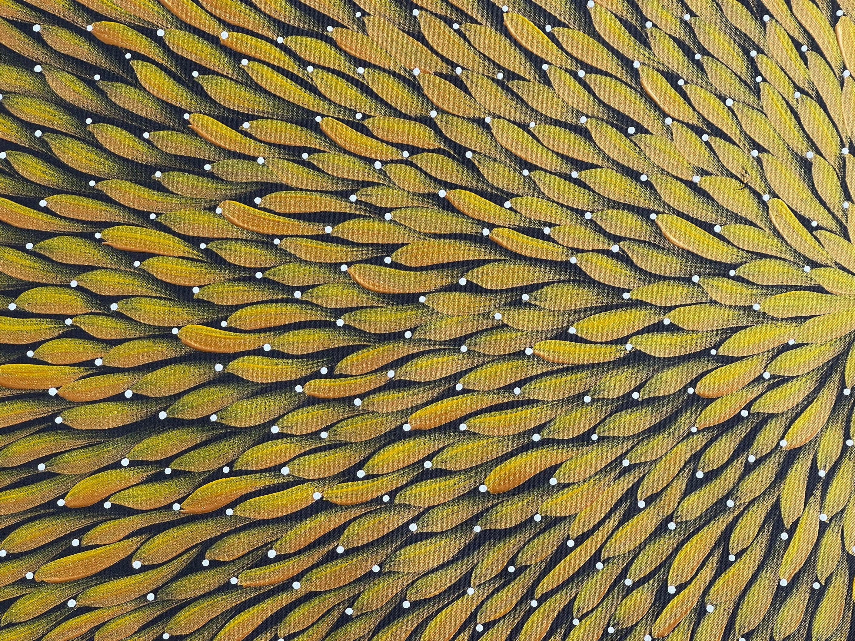 Maryanne Gibson - Bush Medicine - 129x58cm .24-4
