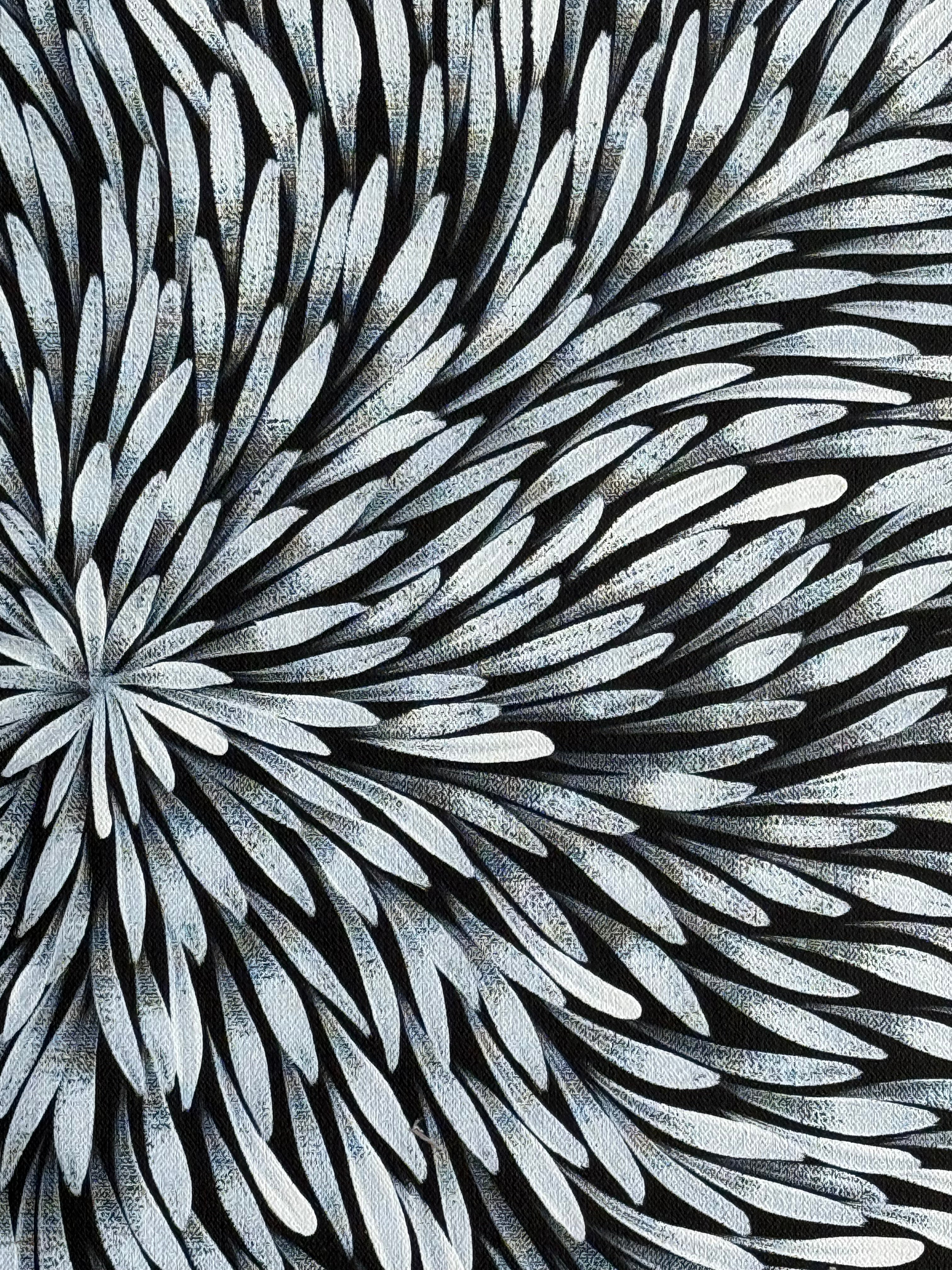 Sharon Numina - Bush Medicine Leaves .01-7