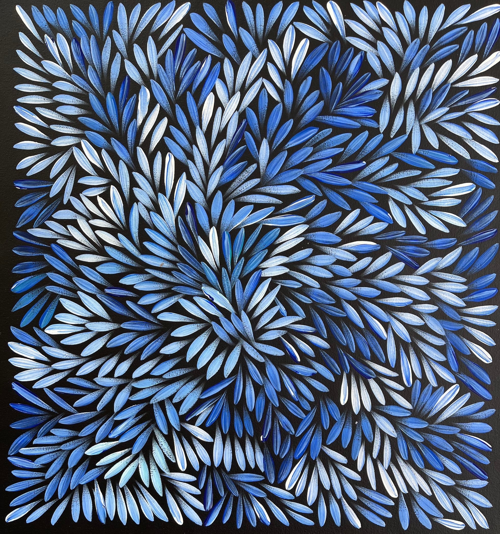 Sharon Numina - Bush Medicine Leaves - 55x60cm .28-14