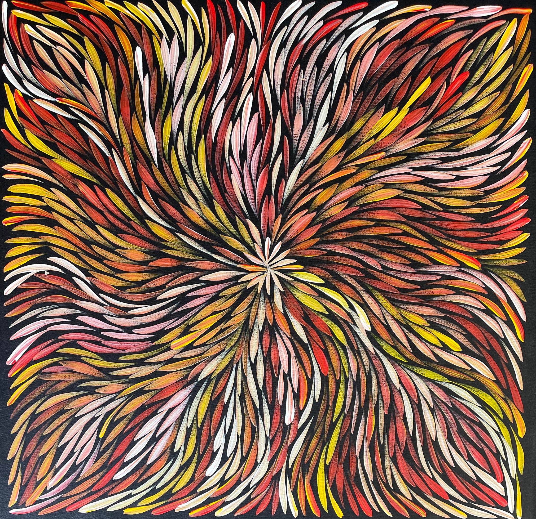Sharon Numina - Bush Medicine Leaves .92-6