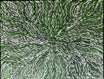 Sharon Numina - Bush Medicine Leaves .33-4