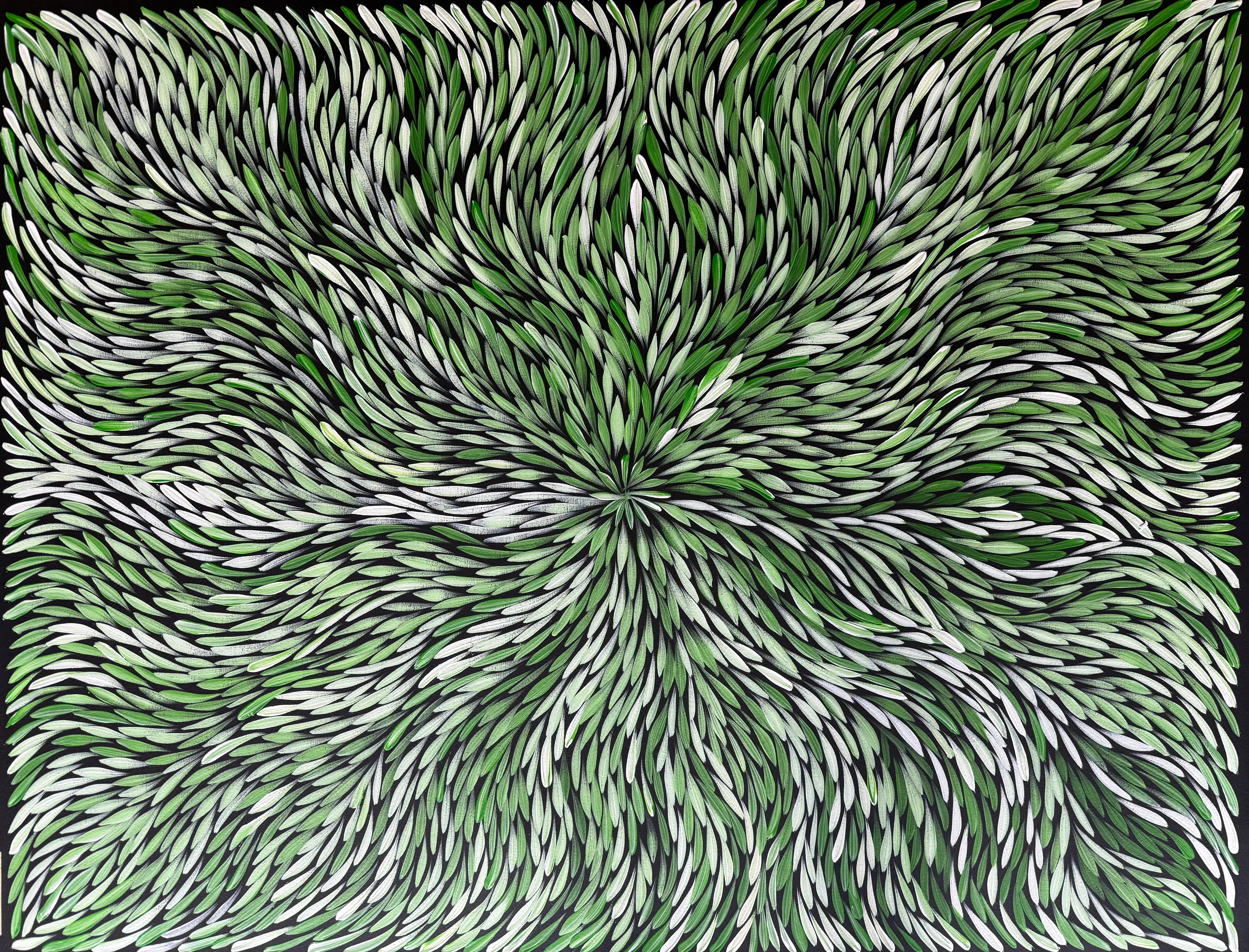 Sharon Numina - Bush Medicine Leaves .33-4