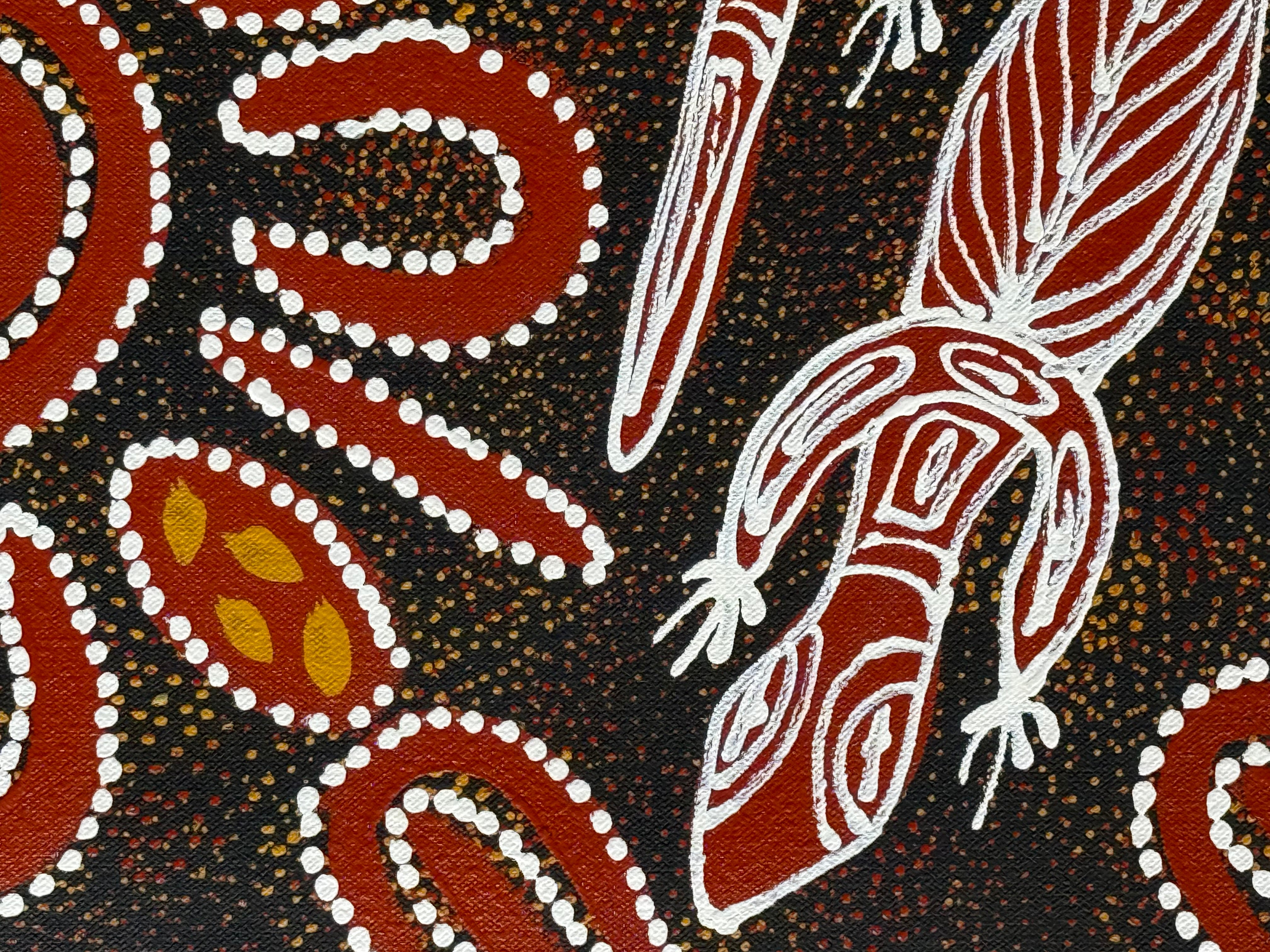 Sharon Numina - Goanna Dreaming .95-14