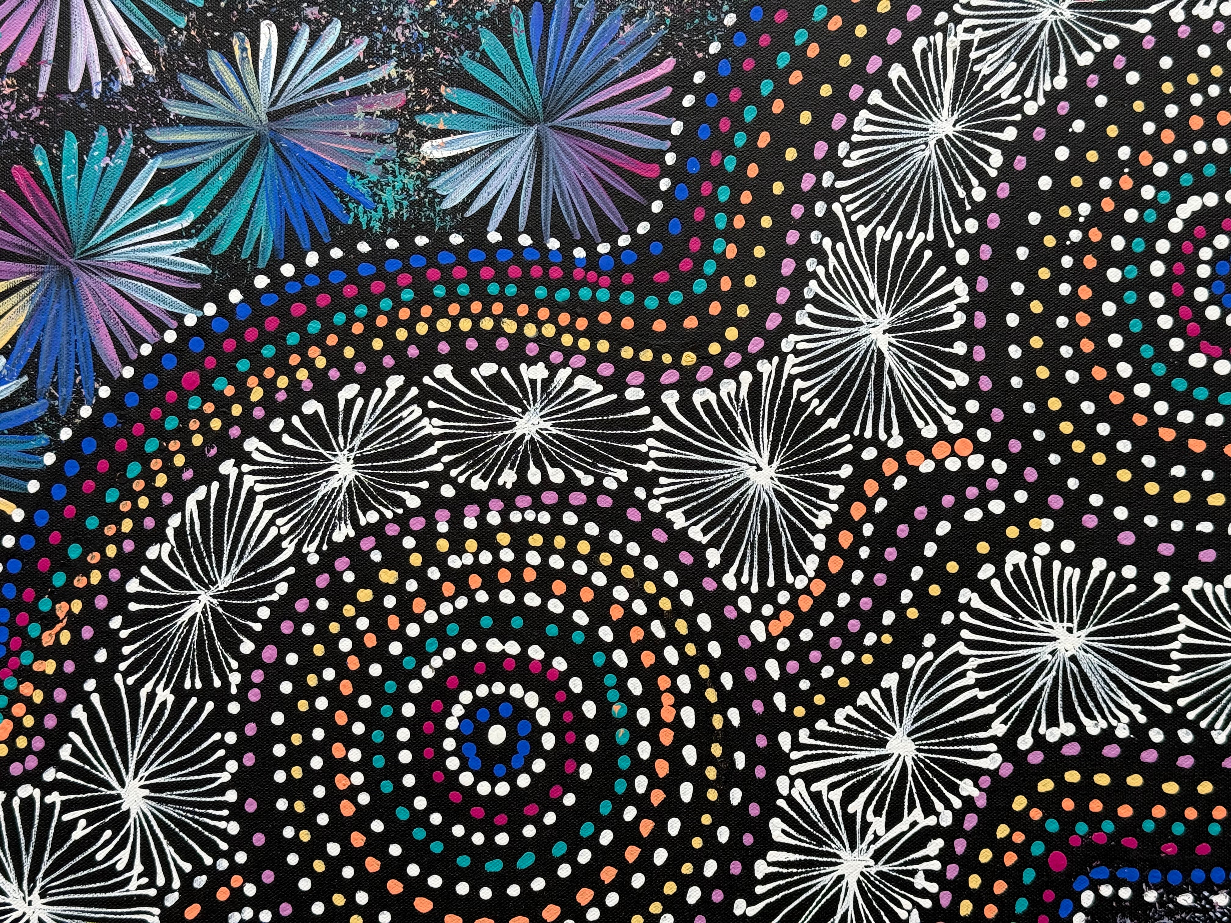 Selina Numina Kamprina - Seeds and Waterholes .92-1