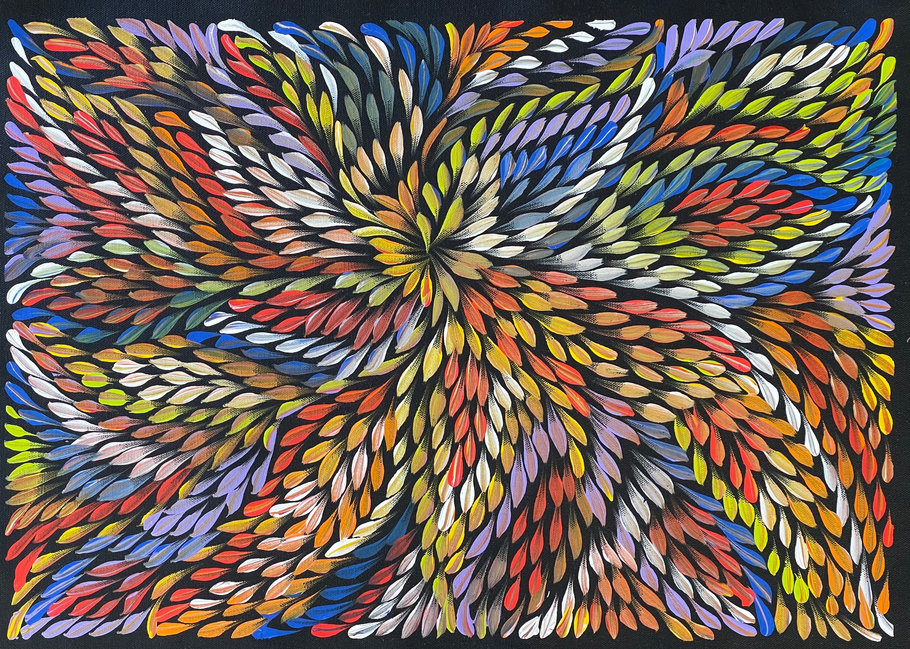 Caroline Numina - Bush Medicine Leaves .62-13