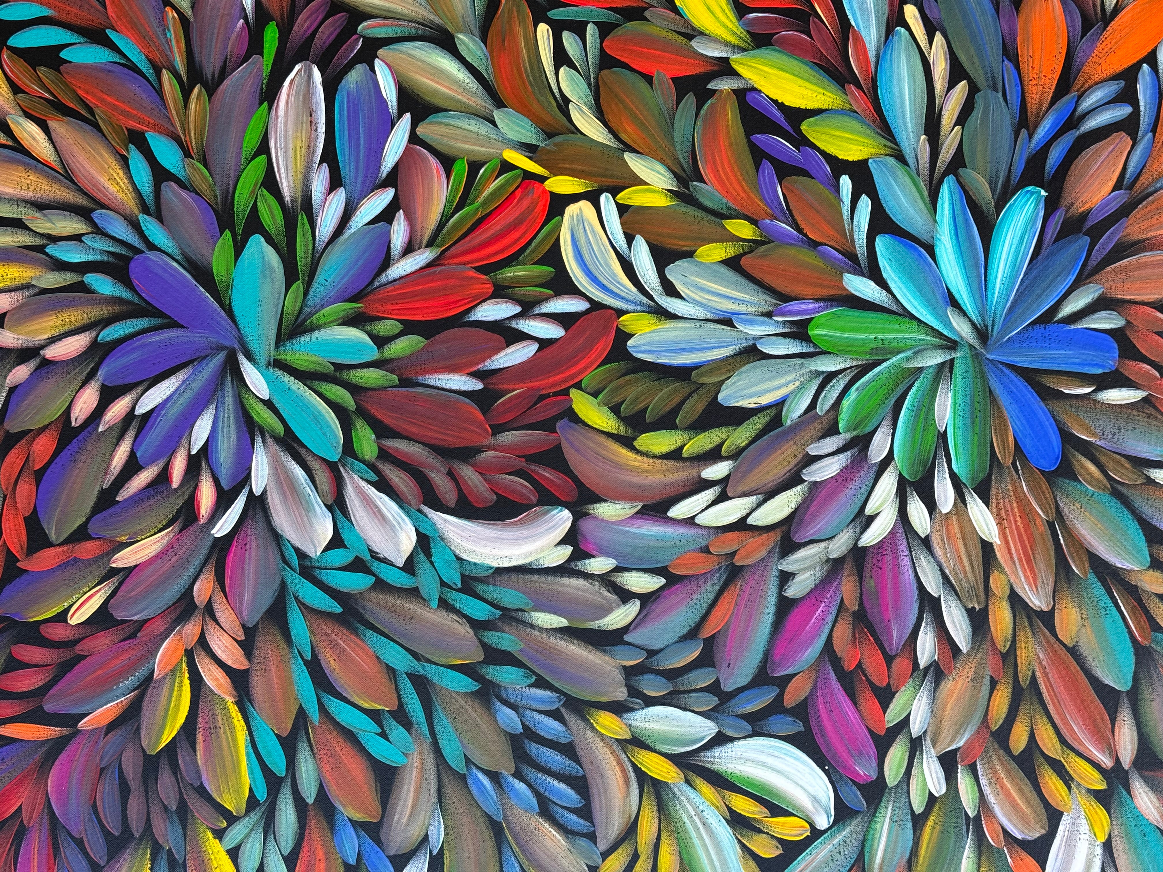 Louise Numina Napananka - Bush Medicine Leaves .49-37