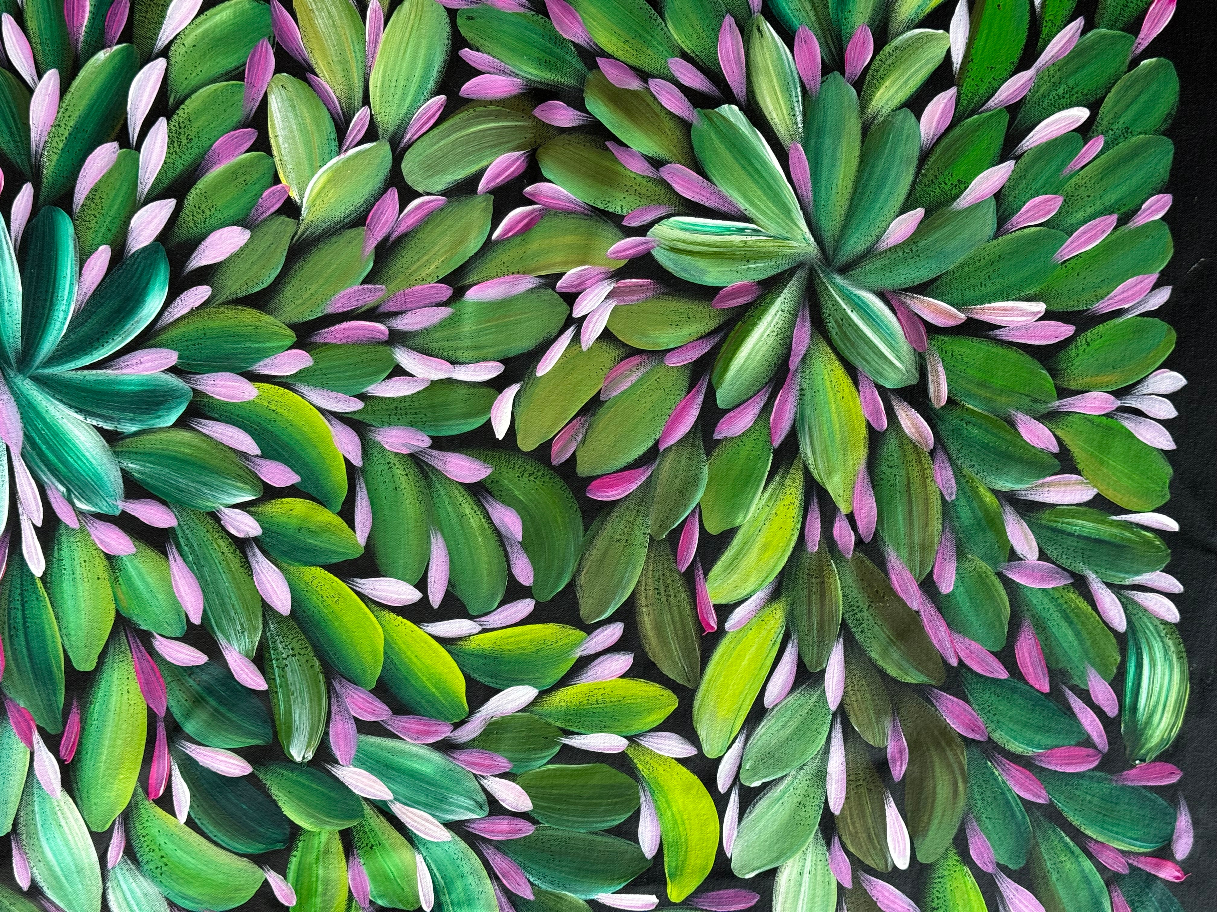 Louise Numina Napananka - Bush Medicine Leaves .16-29