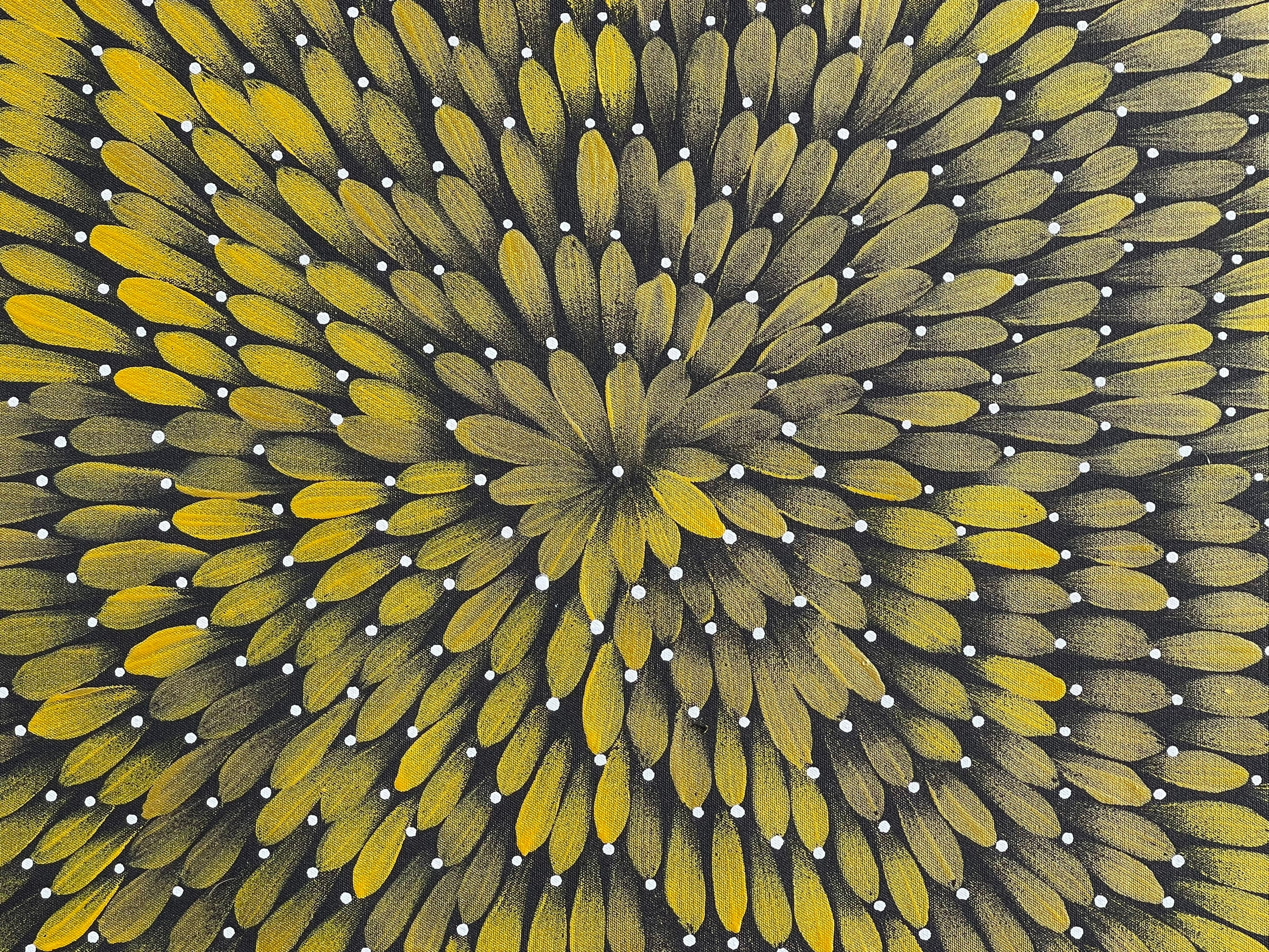 Maryanne Gibson - Bush Medicine .24-3