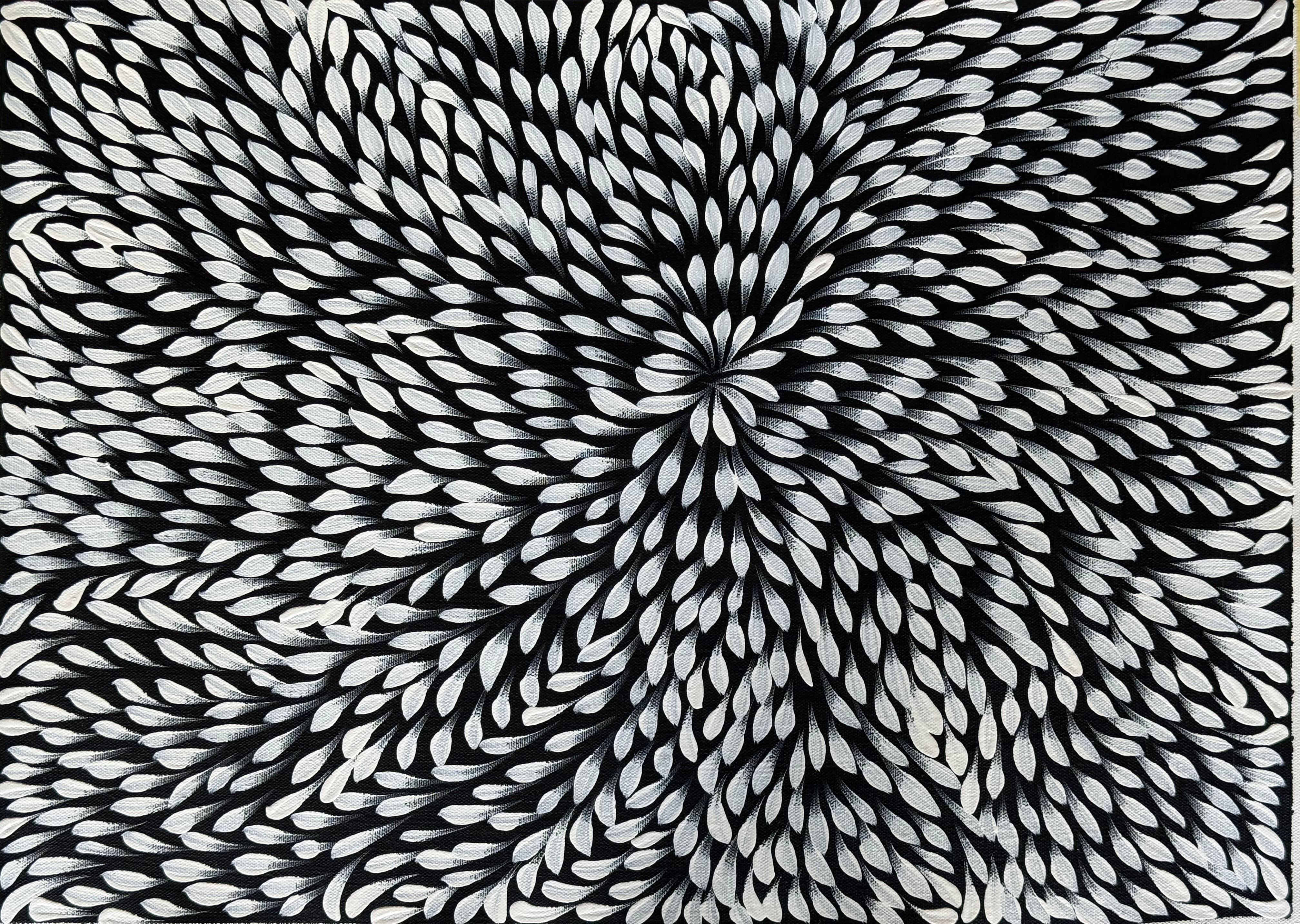 Caroline Numina - Bush Medicine Leaves .04-35