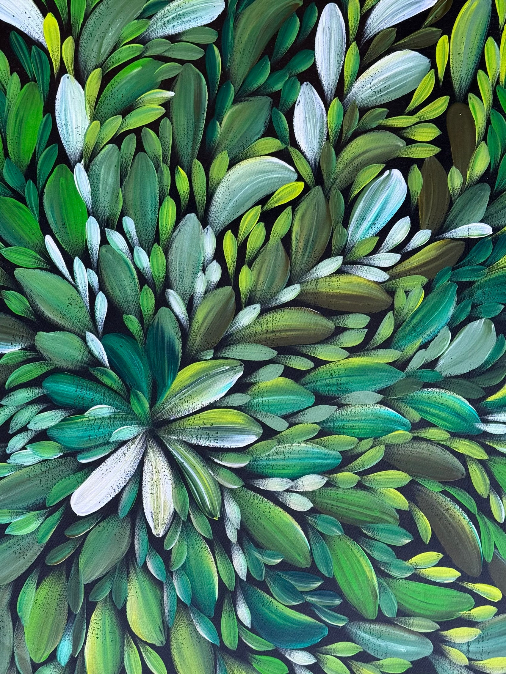 Louise Numina Napananka - Bush Medicine Leaves .49-7