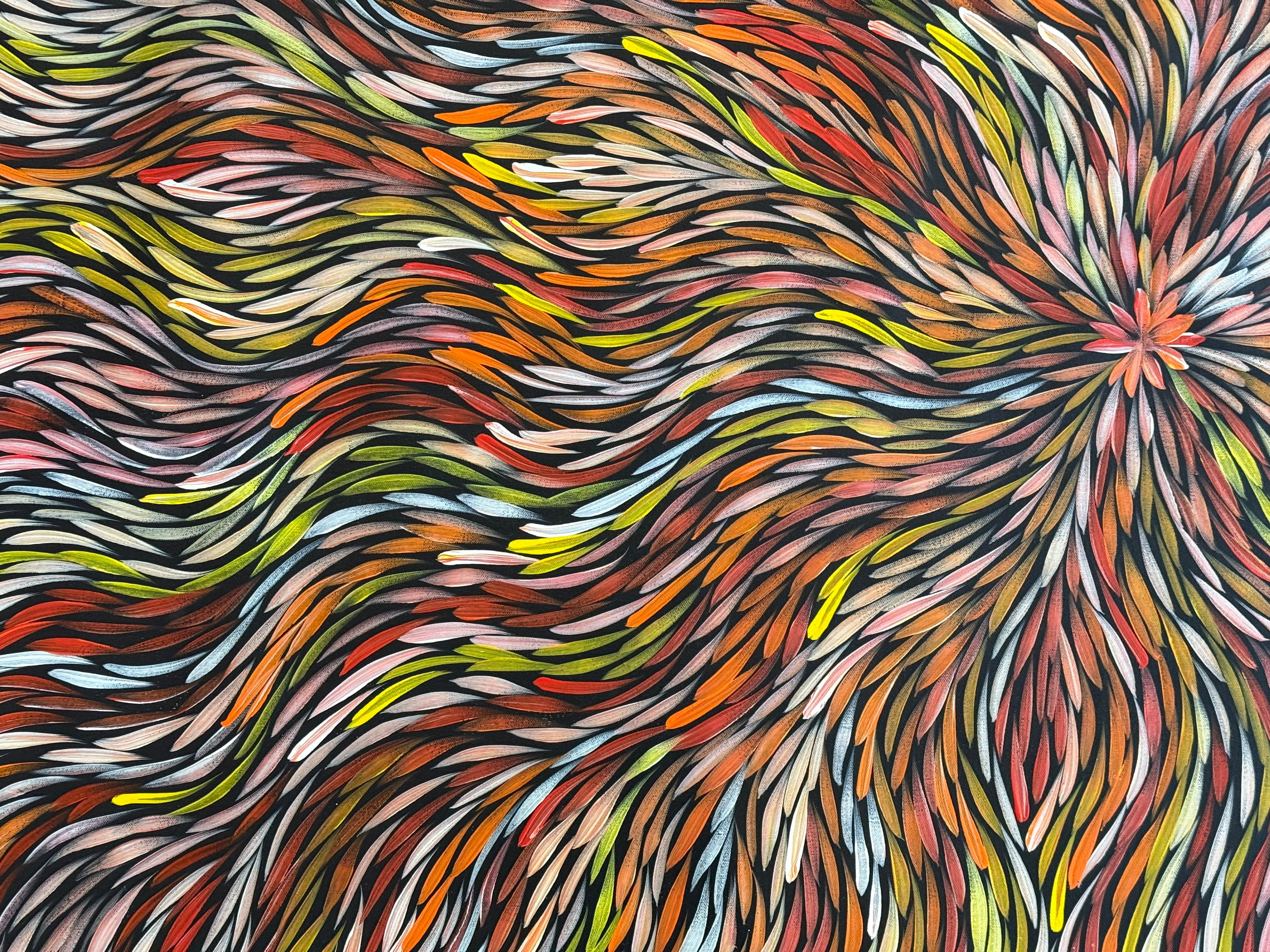 Sharon Numina - Bush Medicine Leaves .14-31