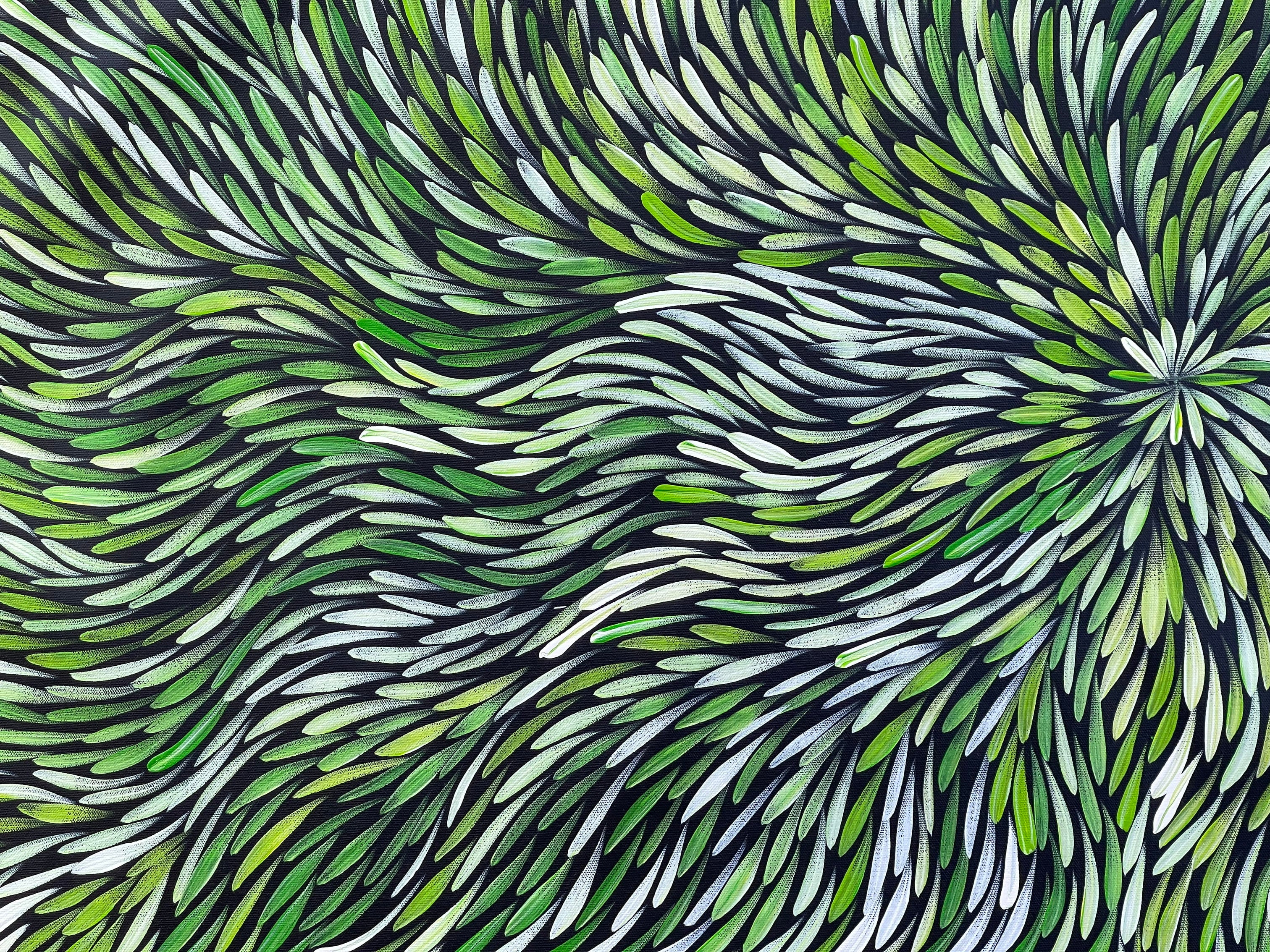 Sharon Numina - Bush Medicine Leaves - 143x67 .28-22