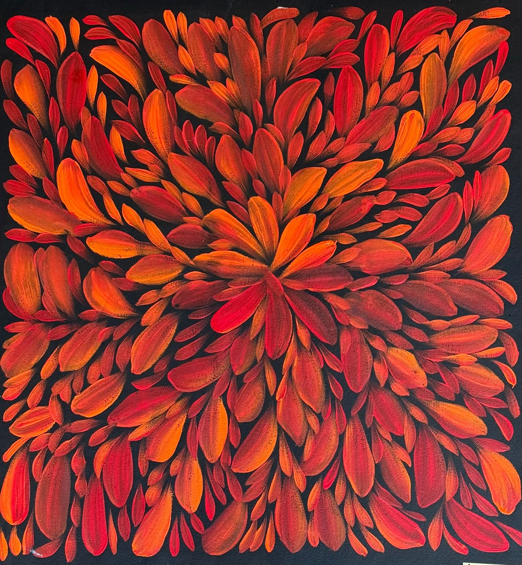 Louise Numina Napananka - Bush Medicine Leaves .49-16