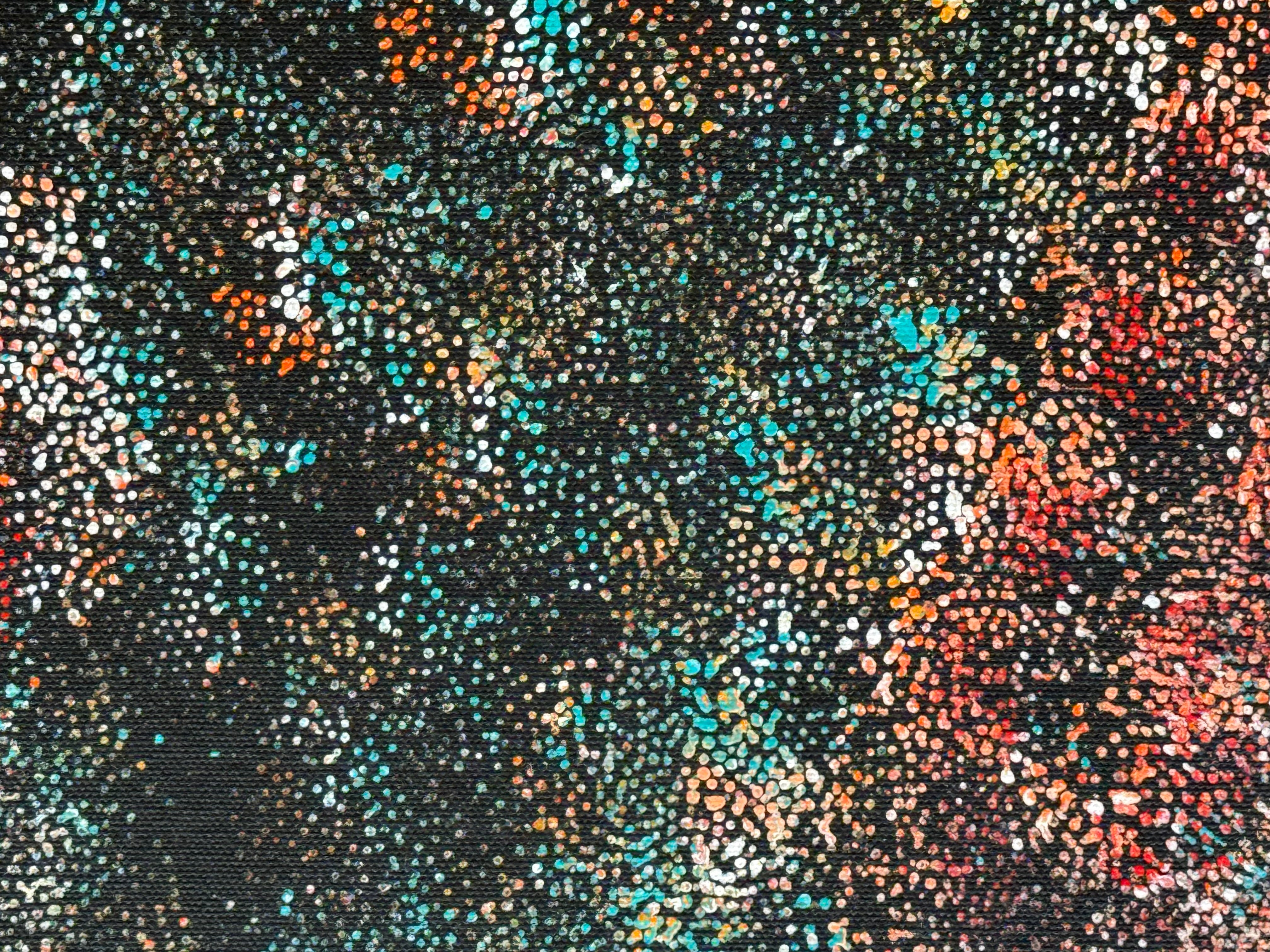 Lanita Numina - Thorny Lizard Changing Colours .97-5