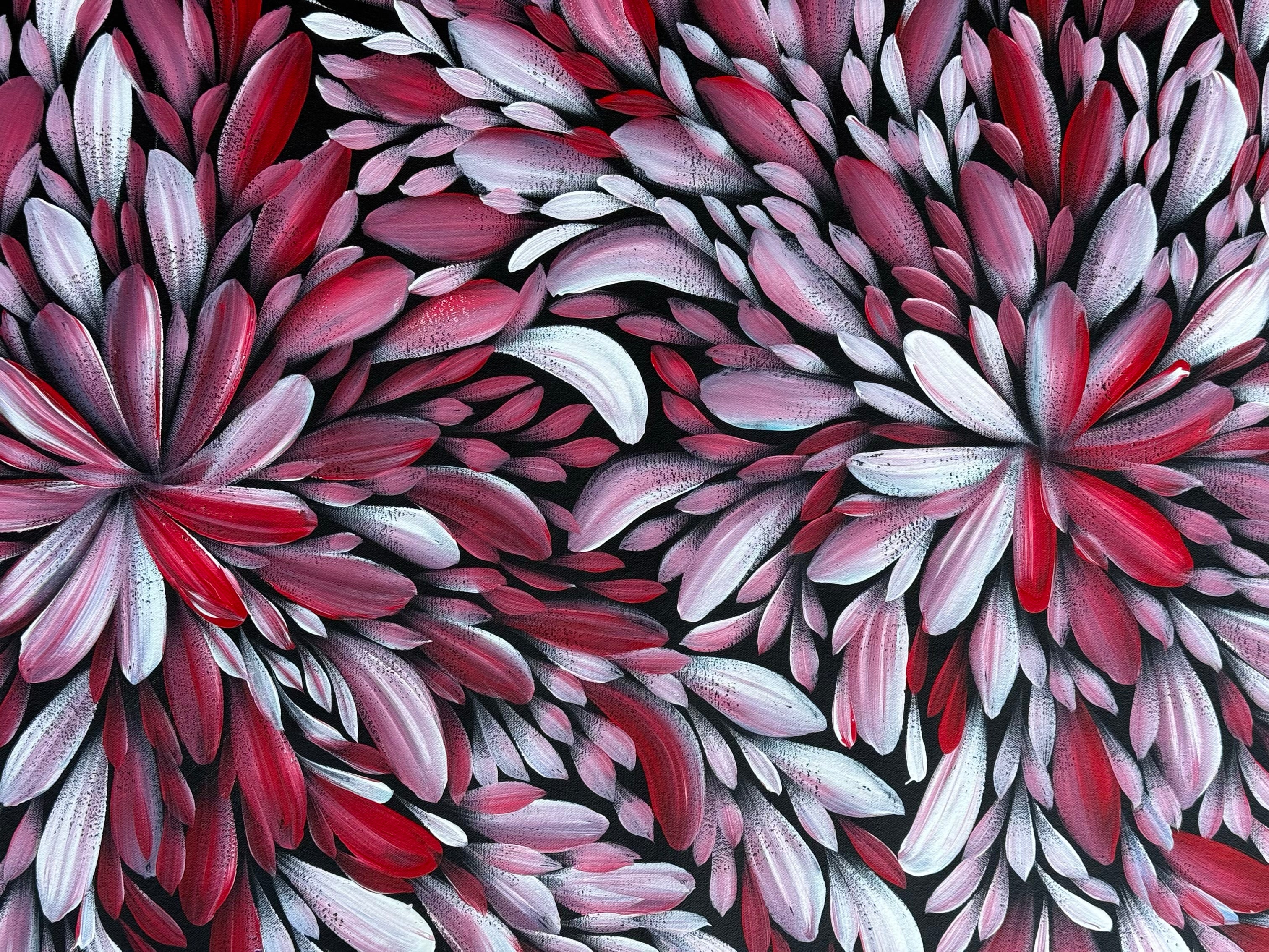 Louise Numina Napananka - Bush Medicine Leaves .49-29