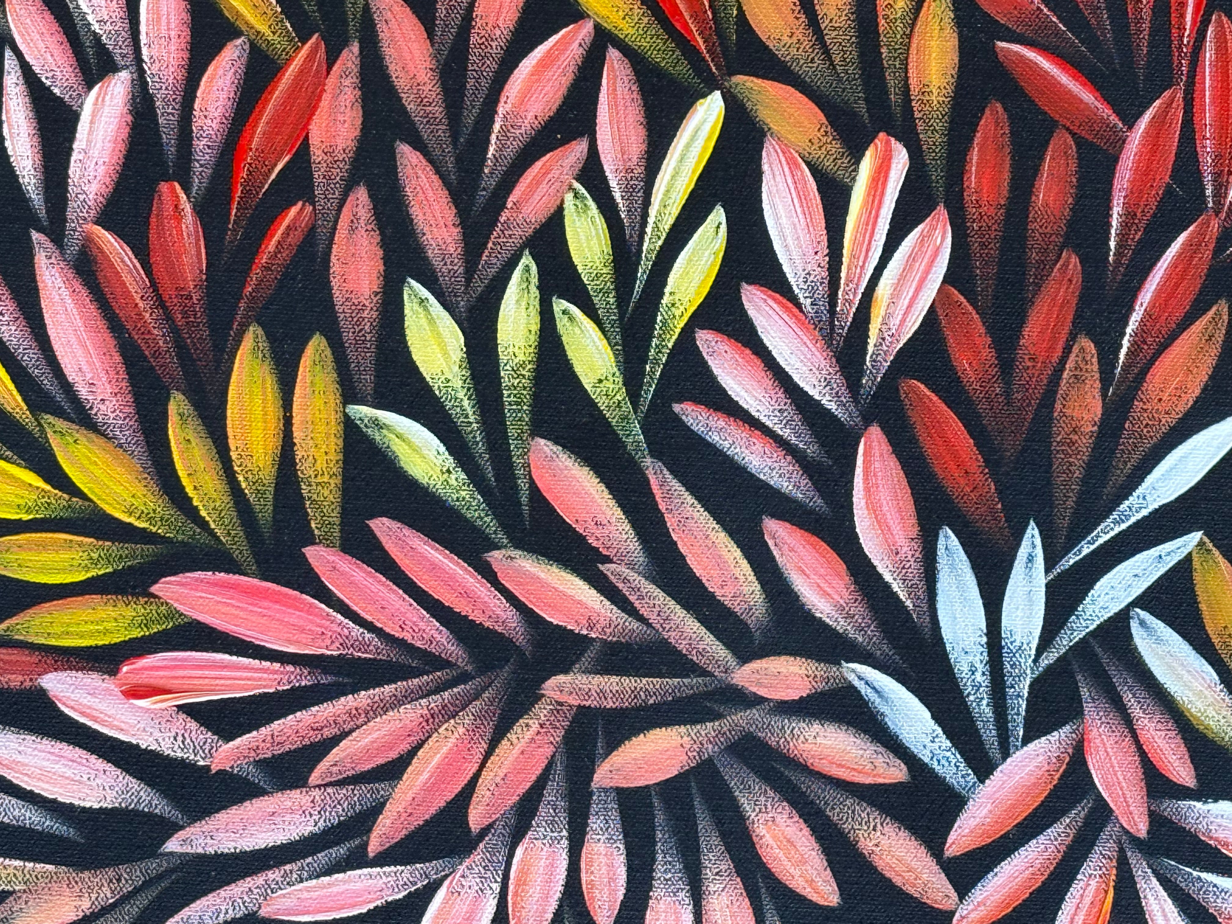 Sharon Numina - Bush Medicine Leaves .83-1