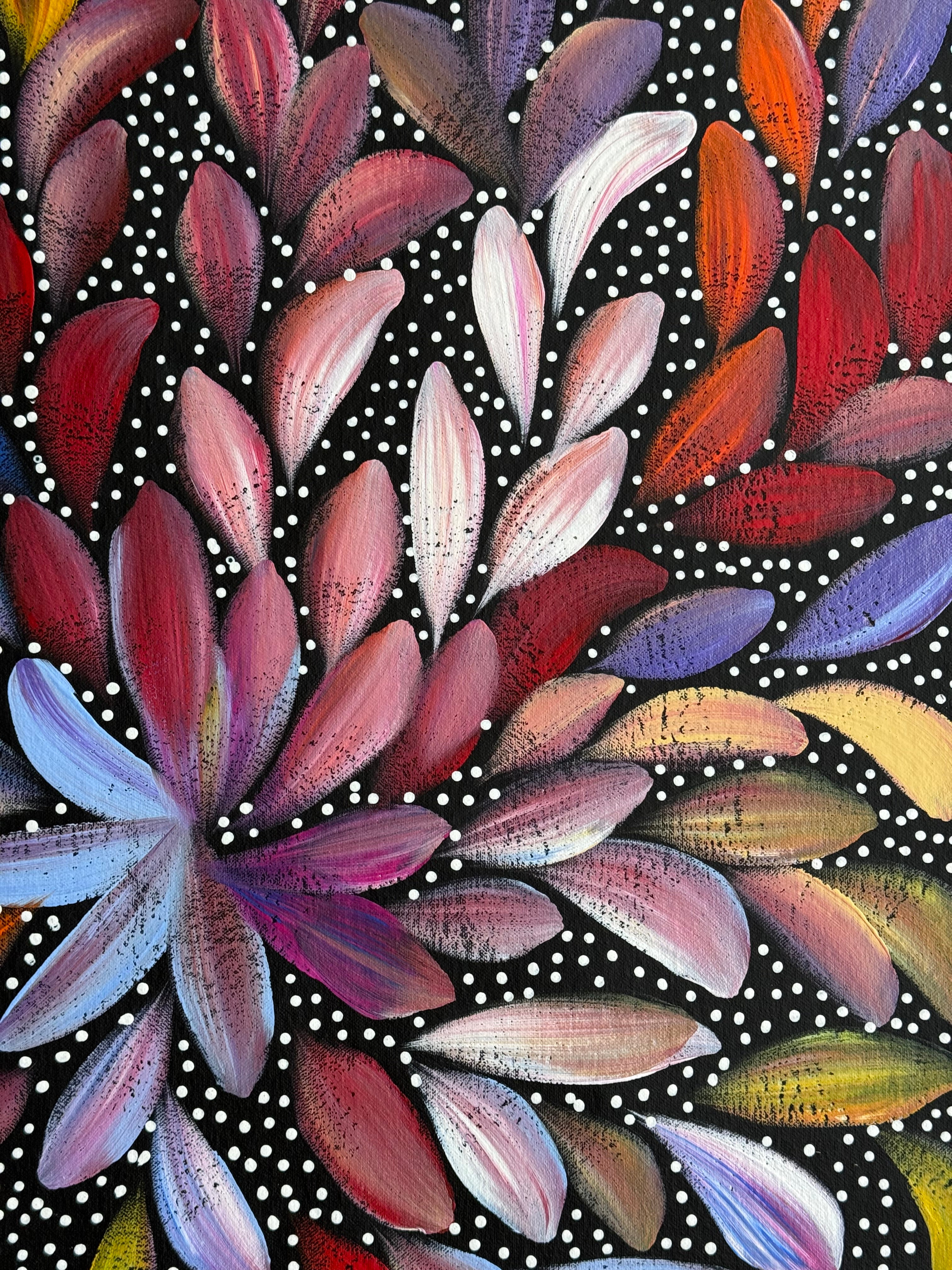 Louise Numina Napananka - Bush Medicine Leaves and Seeds .29-10