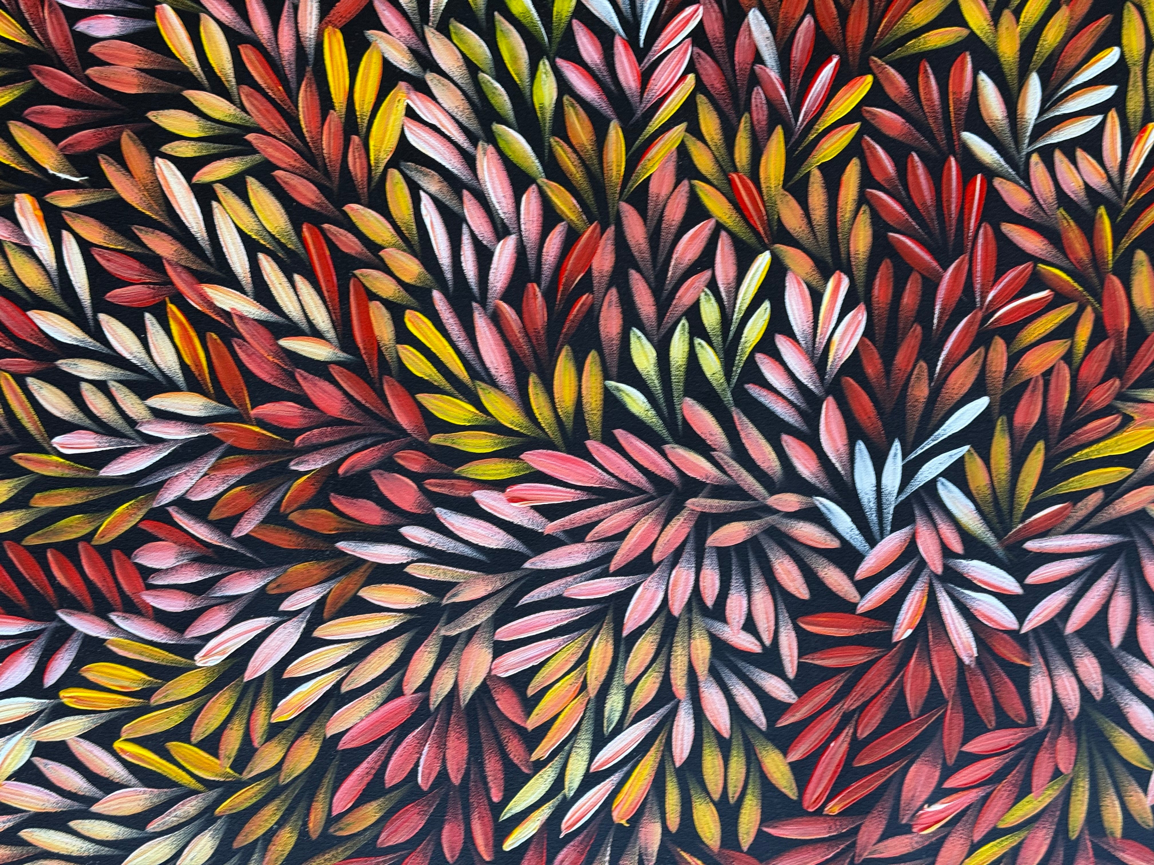 Sharon Numina - Bush Medicine Leaves .83-1
