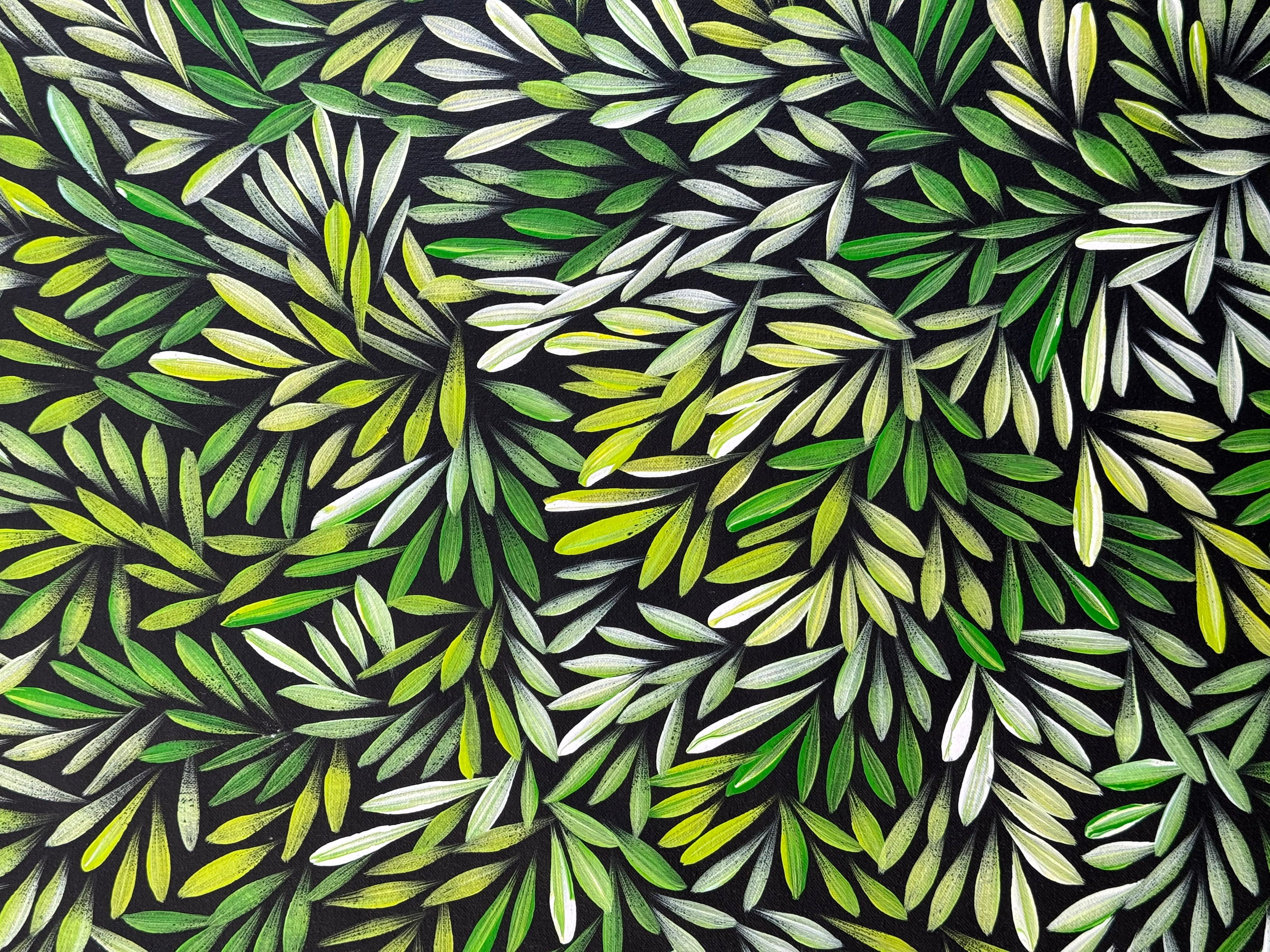Sharon Numina - Bush Medicine Leaves - 62x92cm .14-11