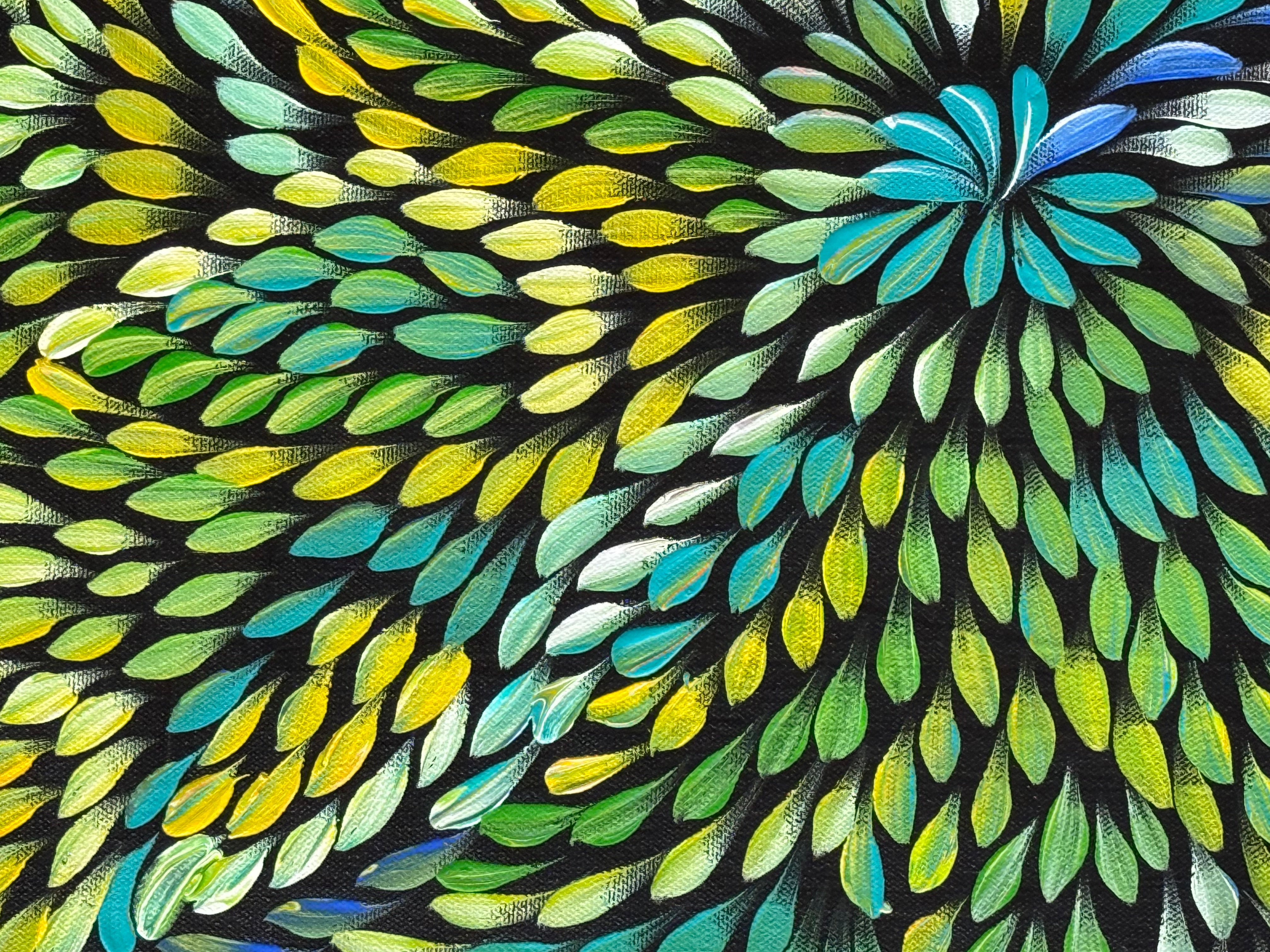 Caroline Numina - Bush Medicine Leaves .04-37