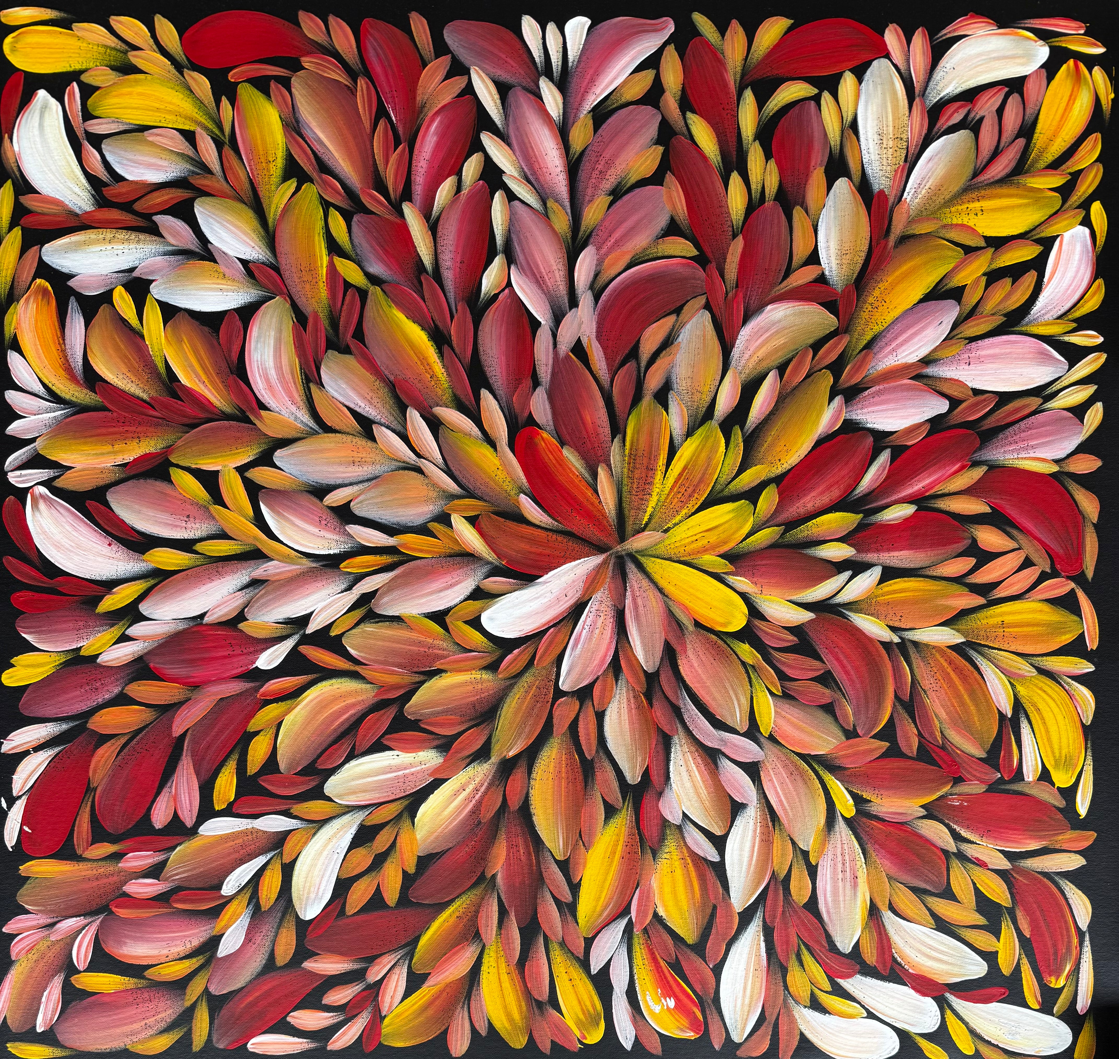 Louise Numina Napananka - Bush Medicine Leaves .75-17