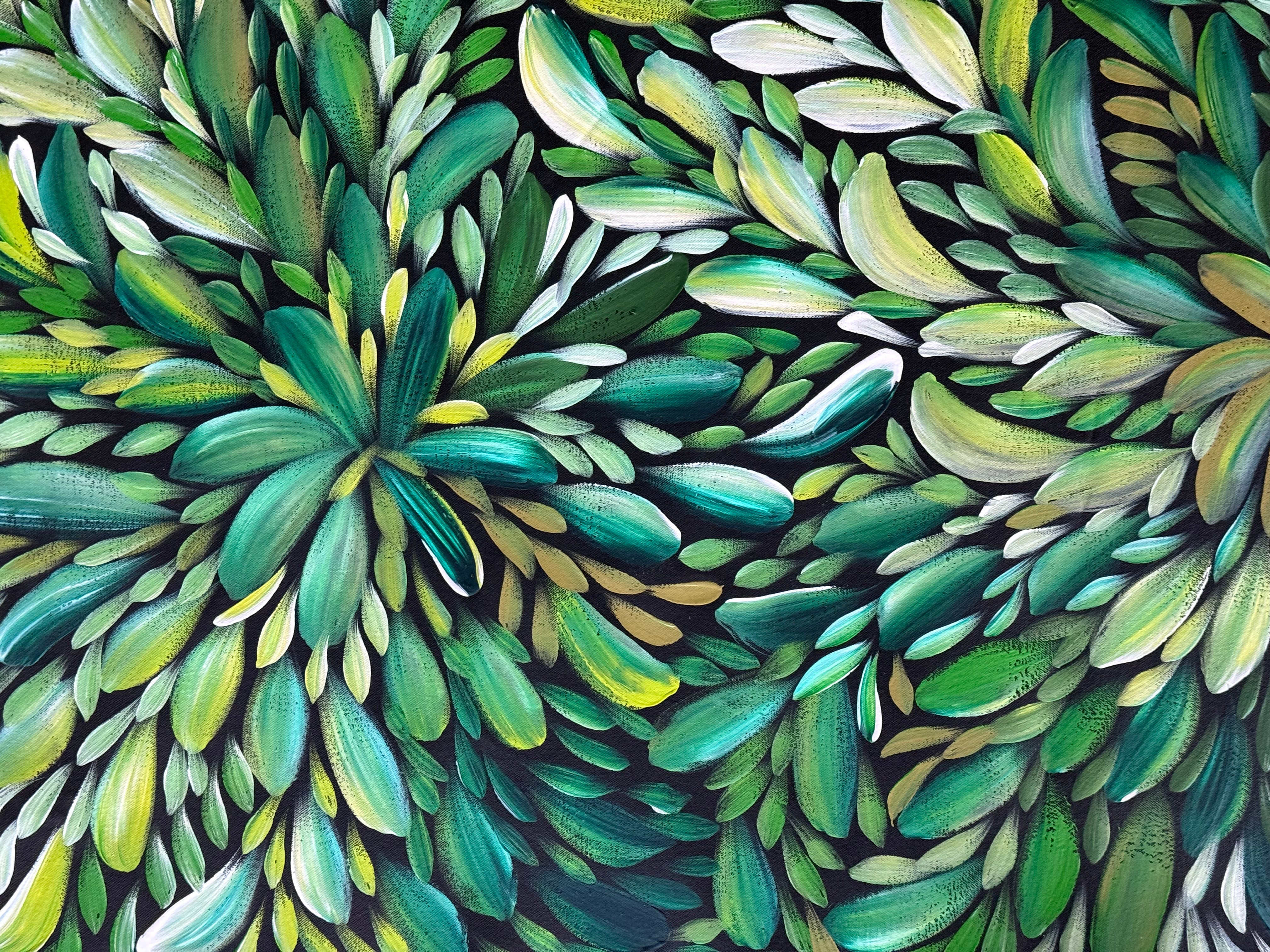 Louise Numina Napananka - Bush Medicine Leaves .16-31