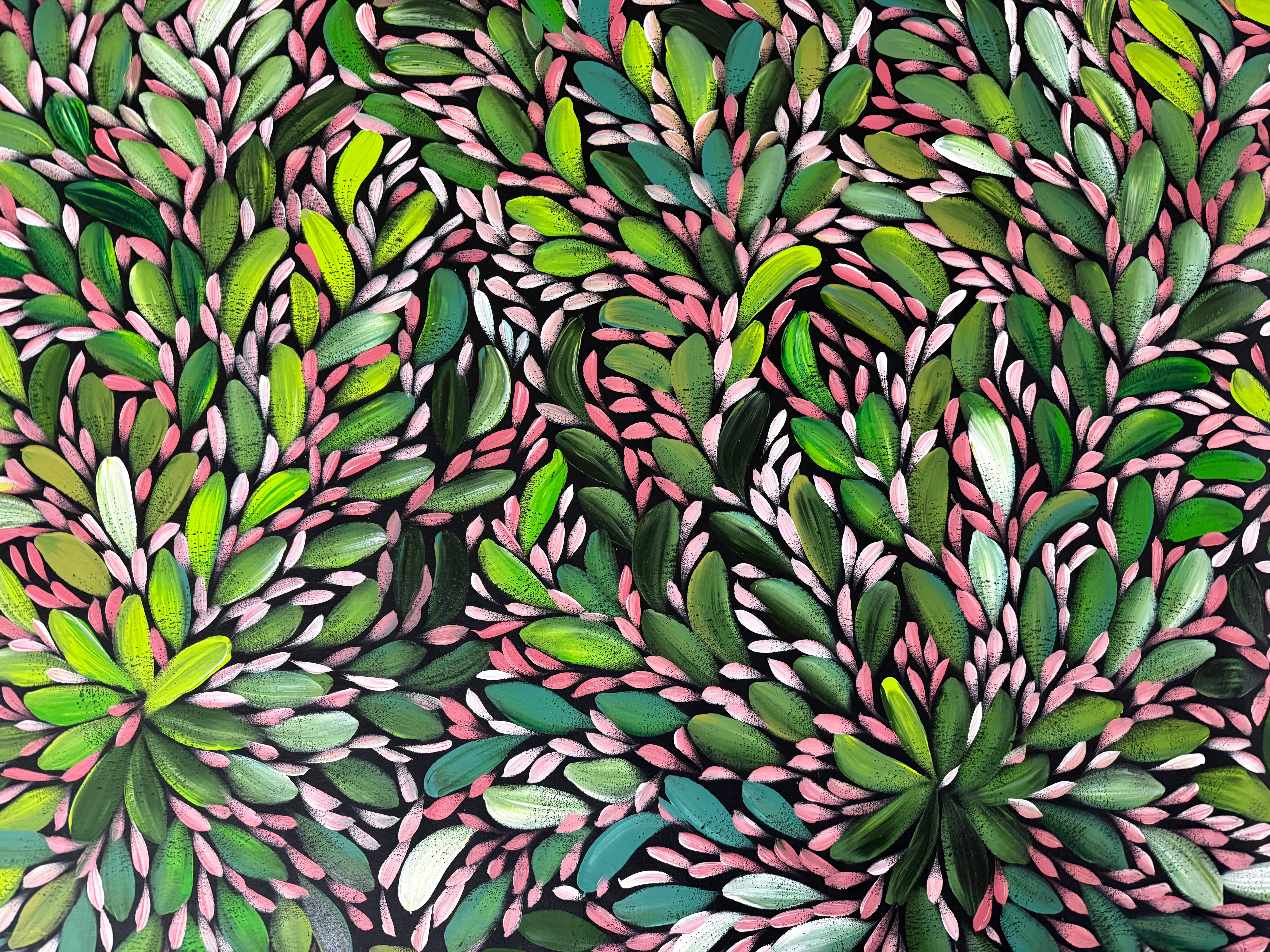 Louise Numina Napananka - Bush Medicine Leaves .22-10