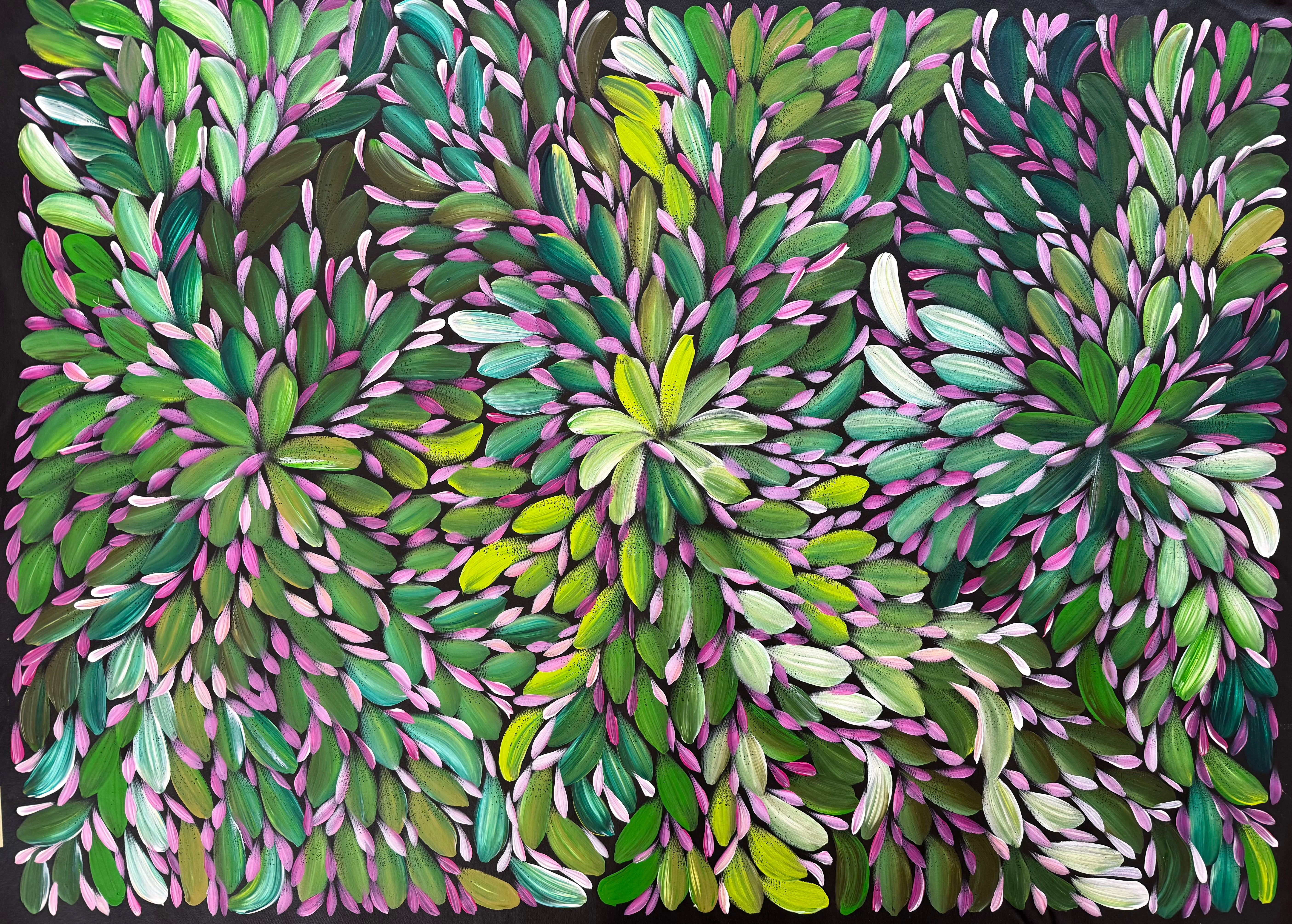 Louise Numina Napananka - Bush Medicine Leaves .16-27