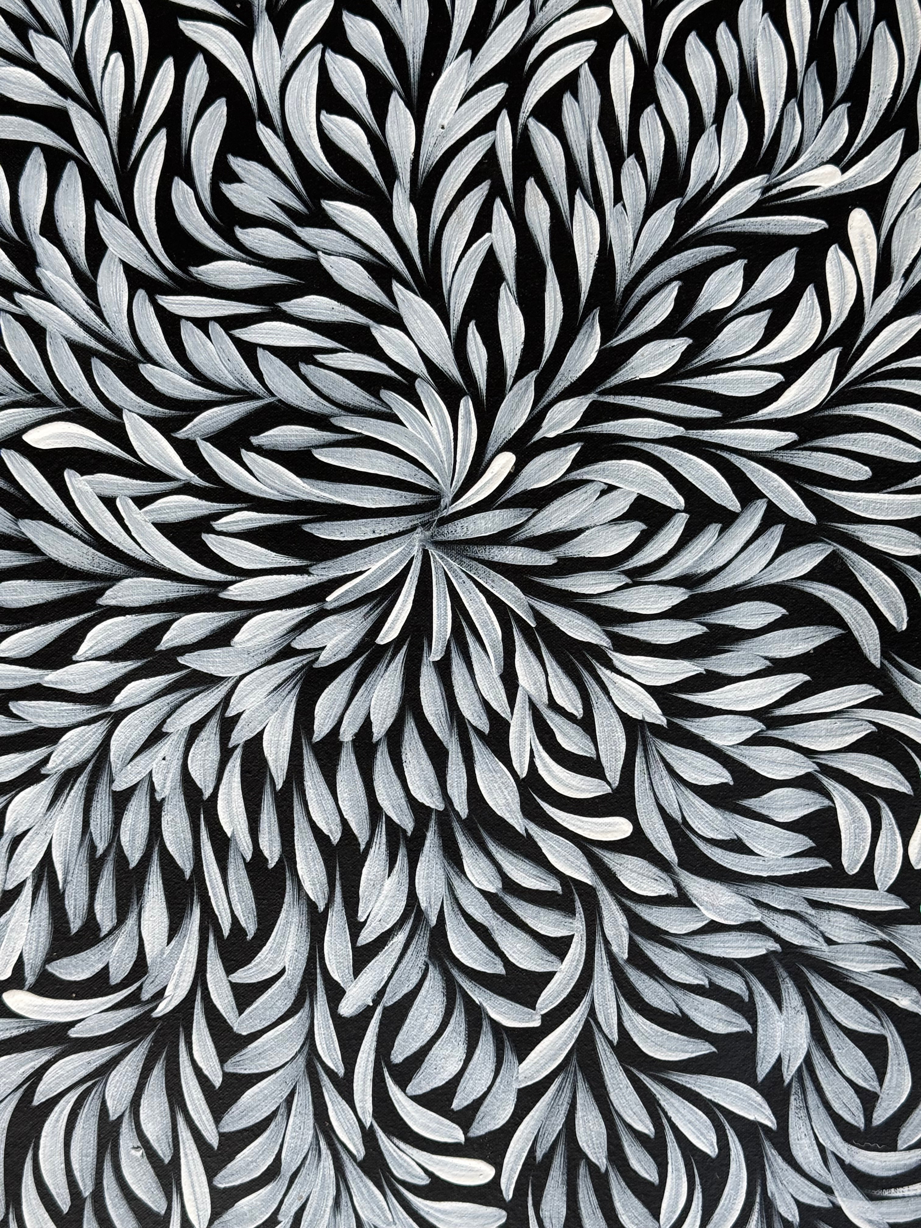 Louise Numina Napananka - Bush Medicine Leaves .16-50