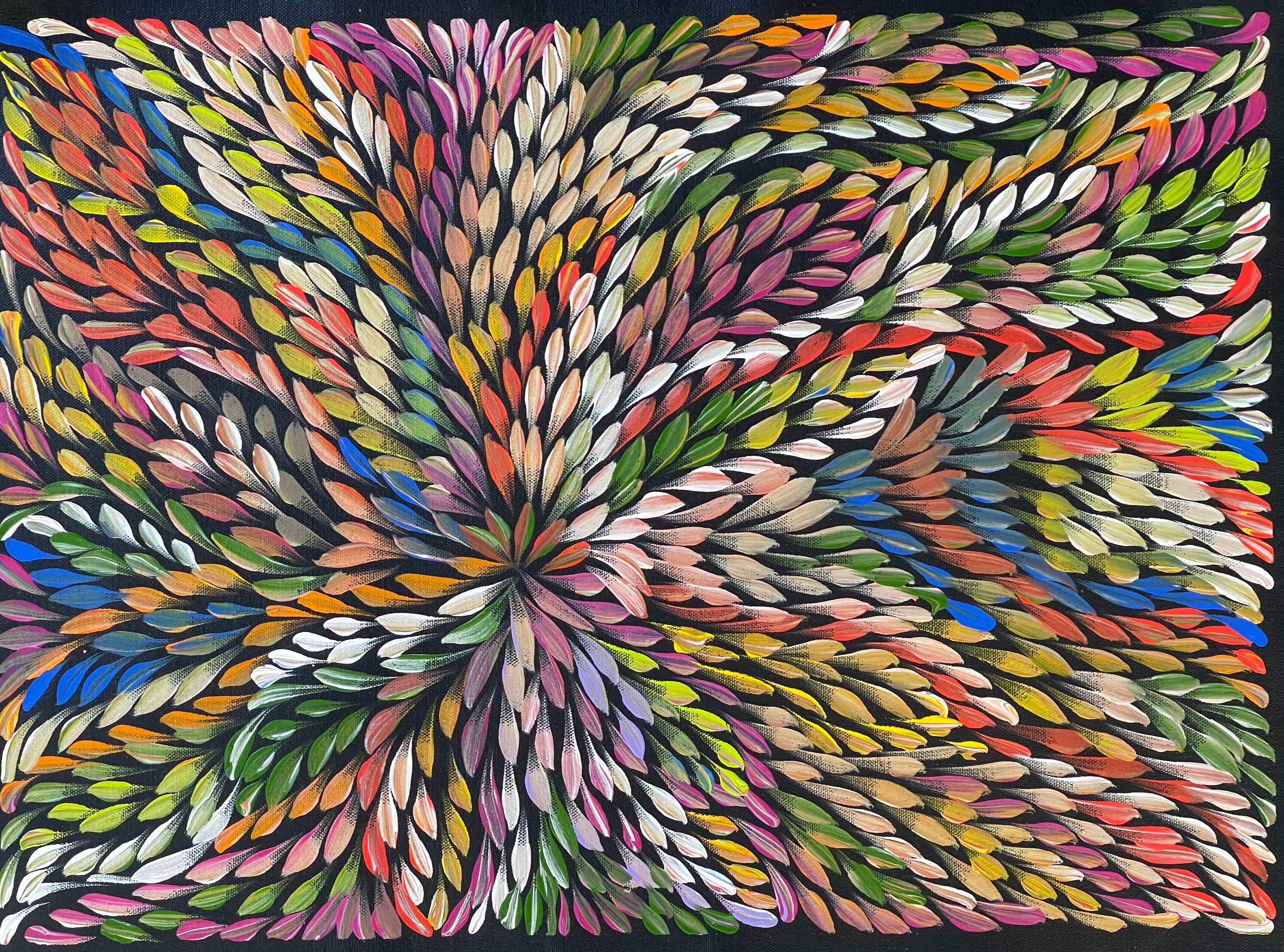 Caroline Numina - Bush Medicine Leaves - 52x38cm .62-11