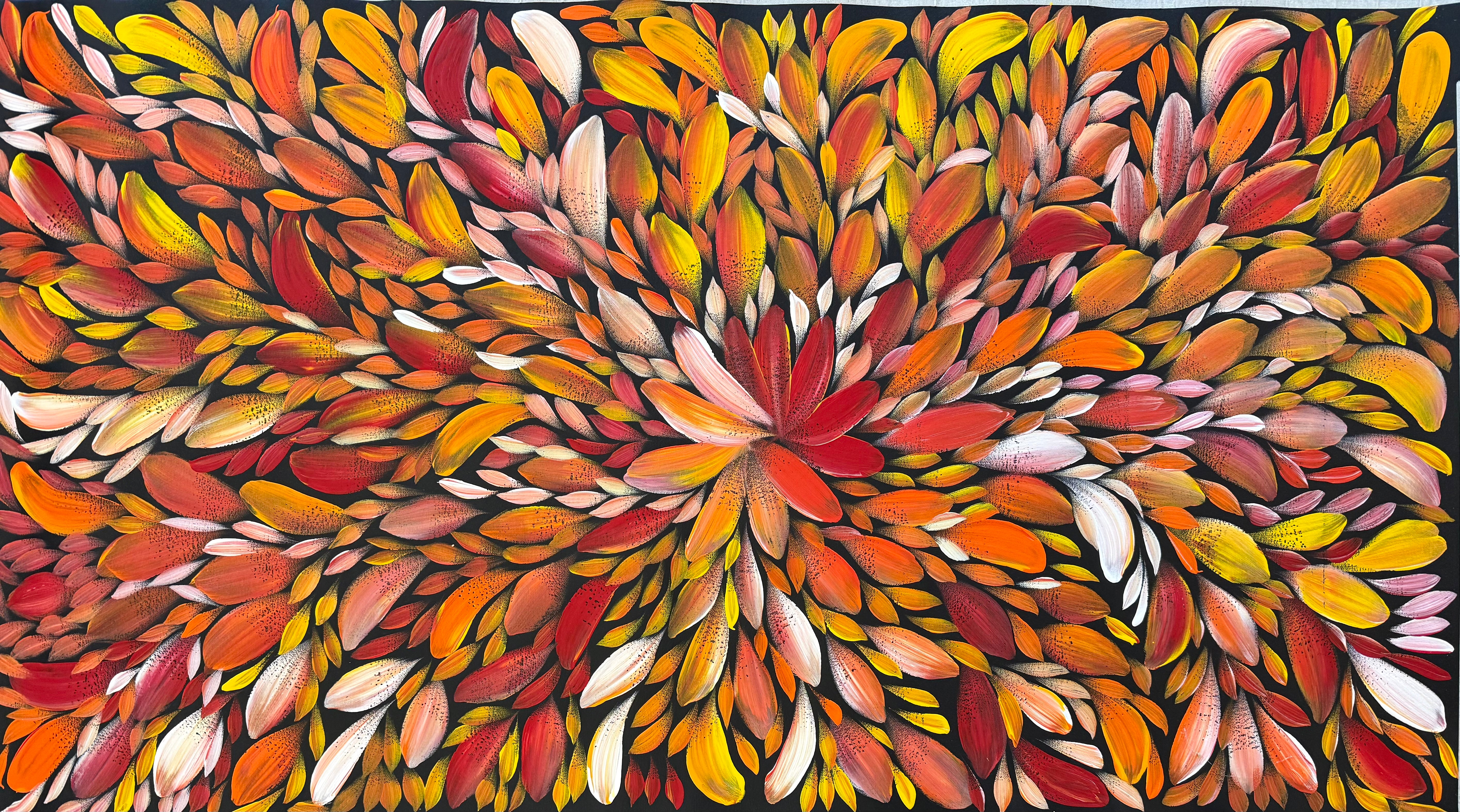 Louise Numina Napananka - Bush Medicine Leaves .21-13