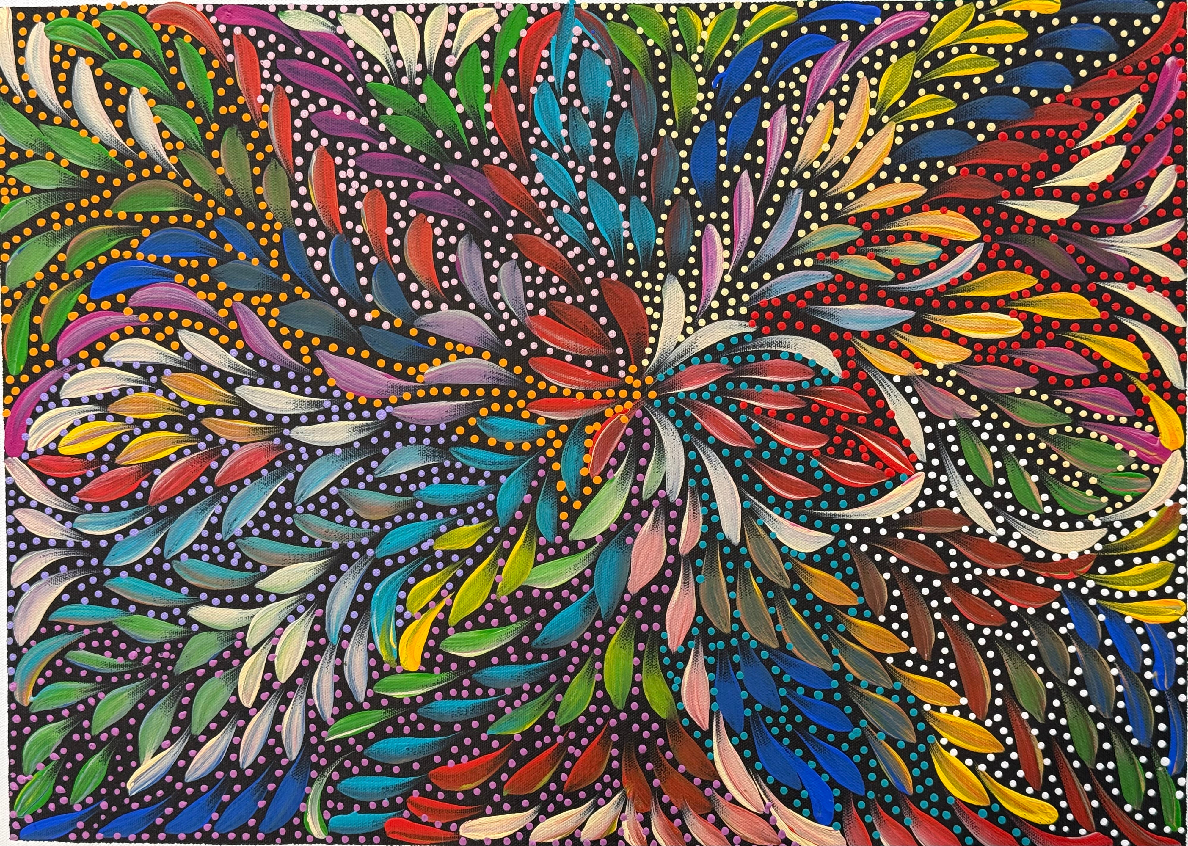 Caroline Numina - Bush Medicine Leaves and Seeds .04-25